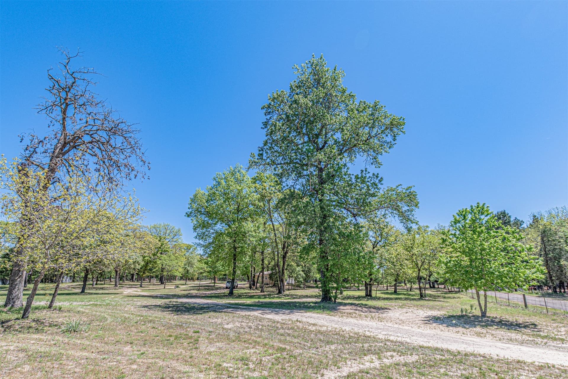 4.19 acres in Henderson County - photo 17