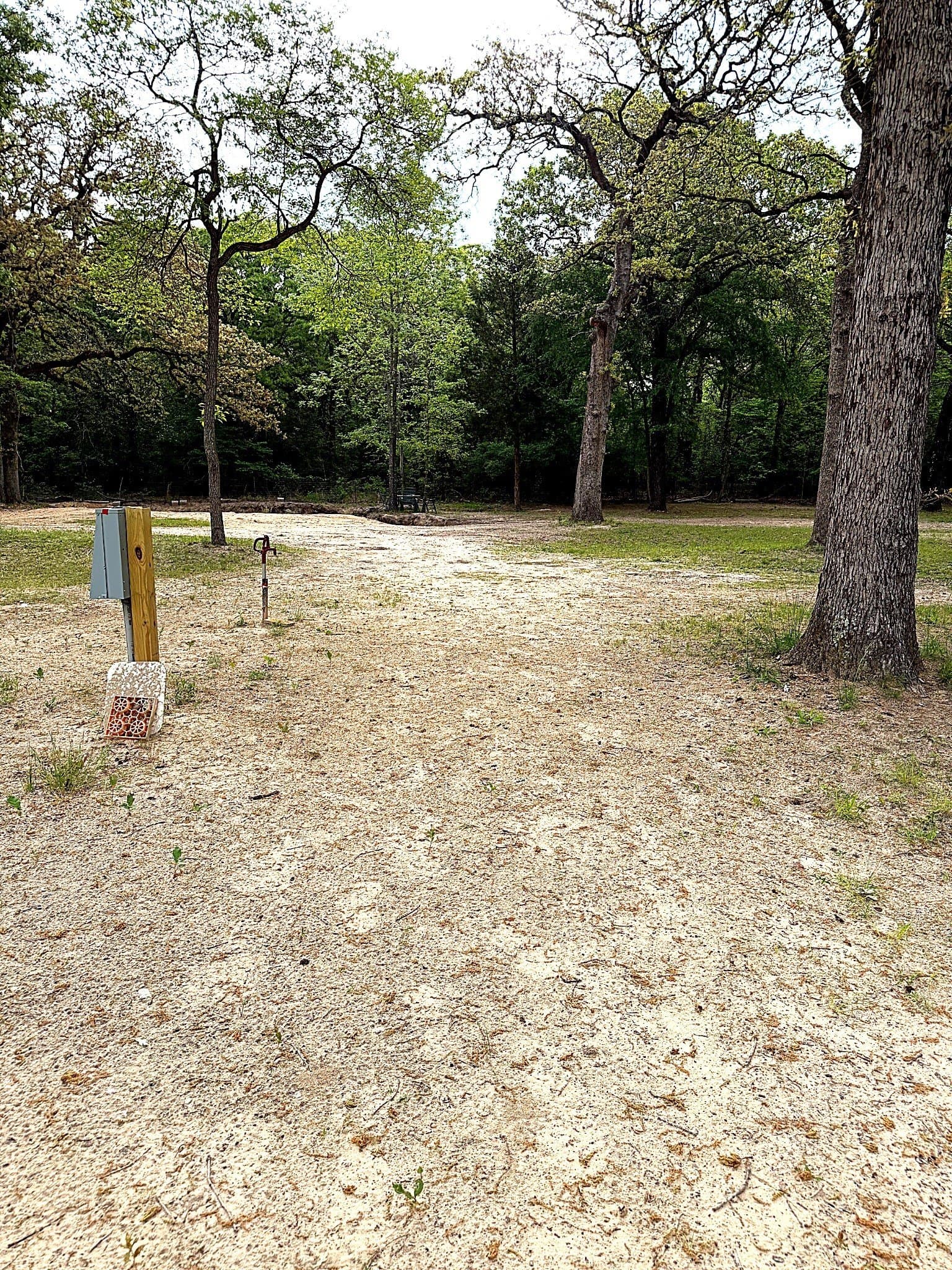 4.19 acres in Henderson County - photo 13