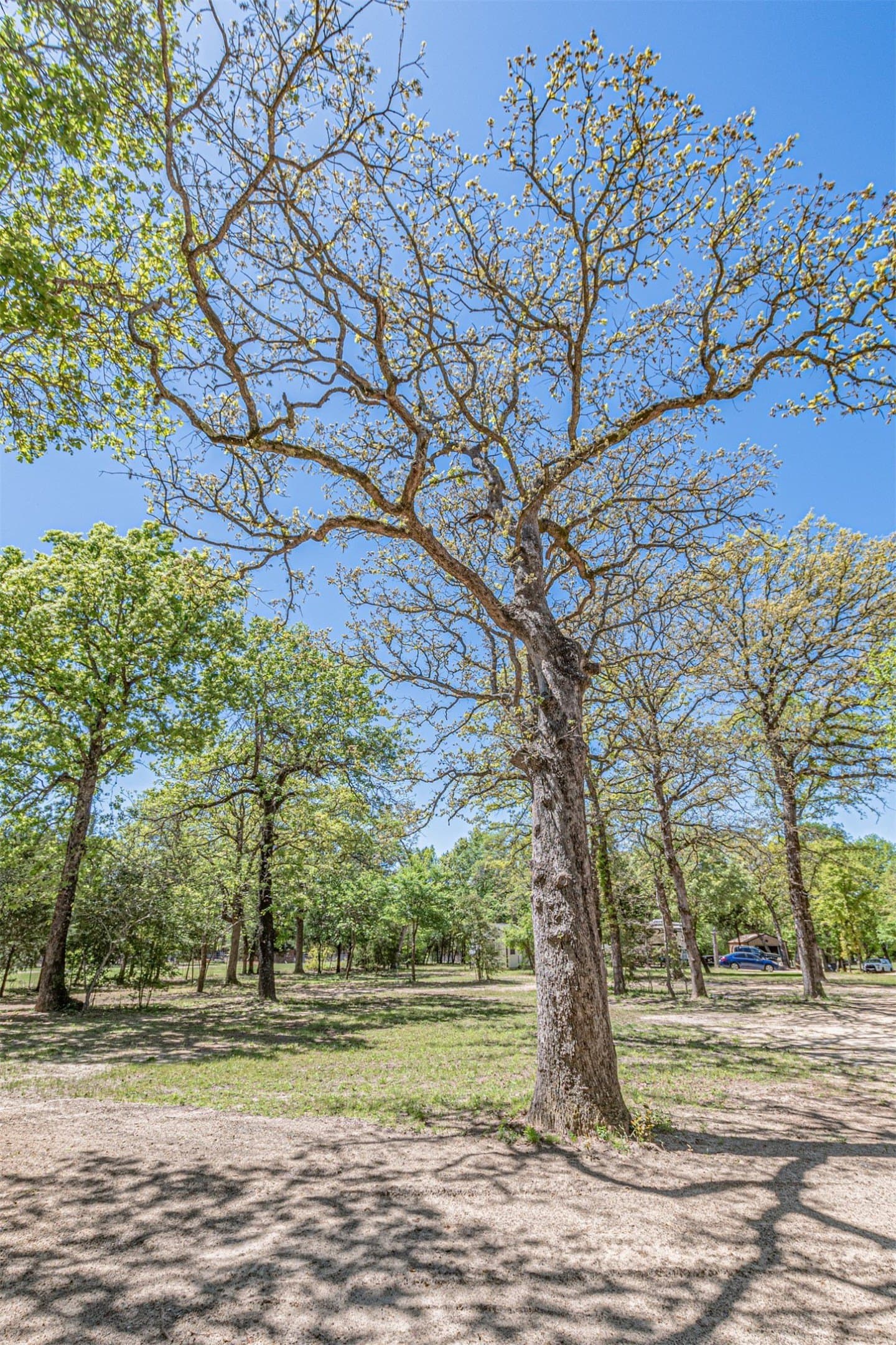 4.19 acres in Henderson County - photo 14