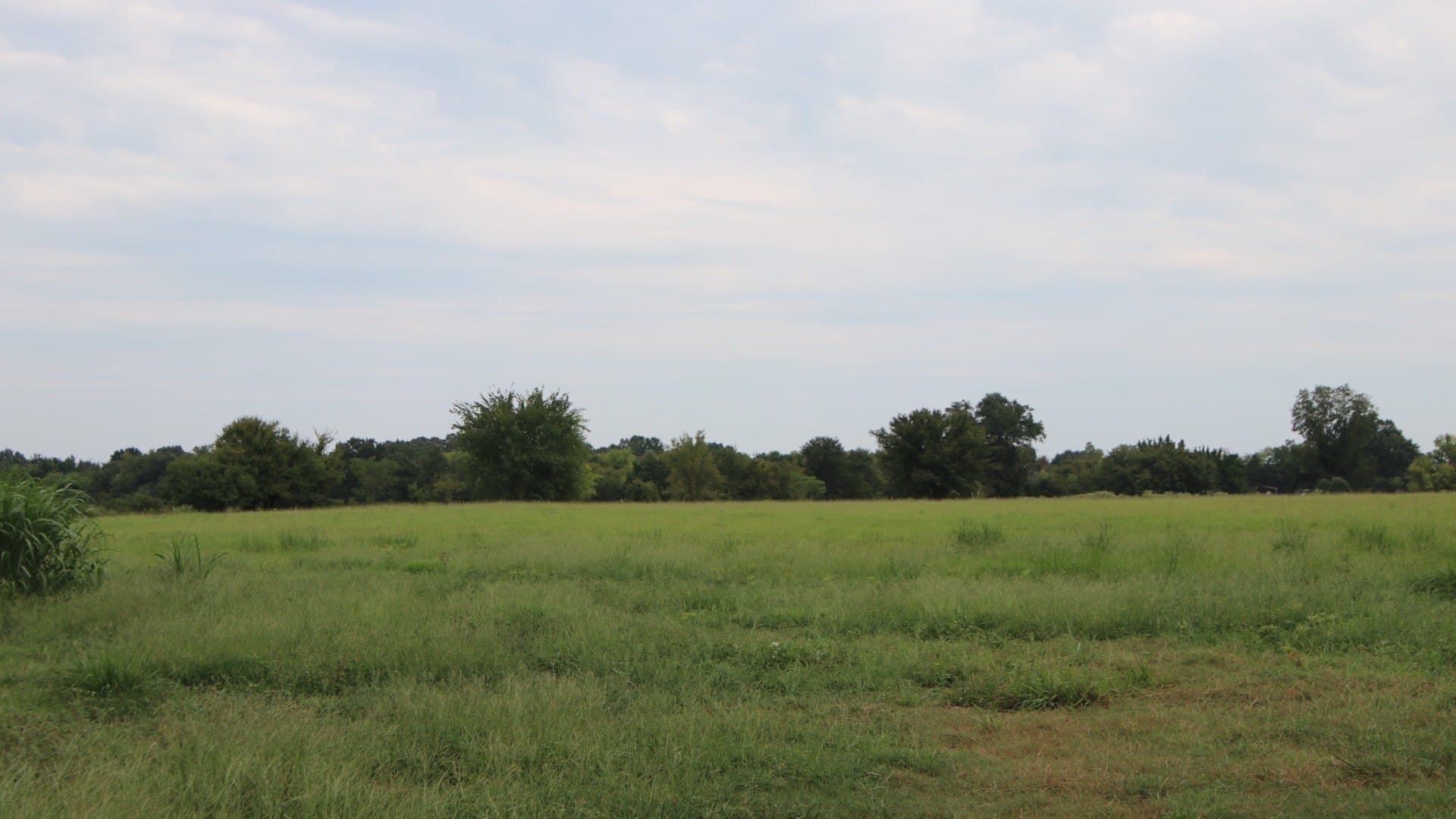 2.05 acres in Rains County