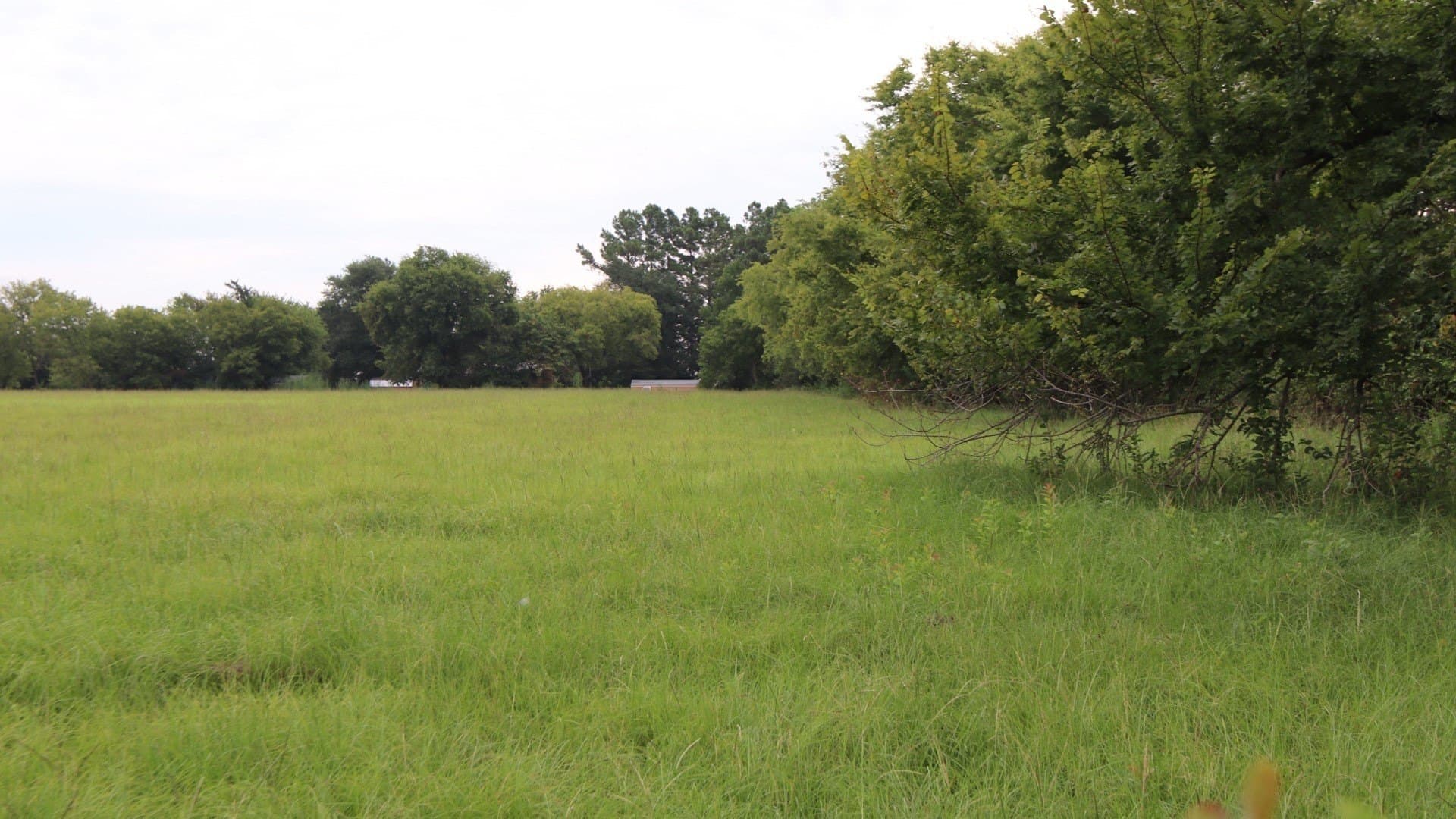 2.05 acres in Rains County - photo 3