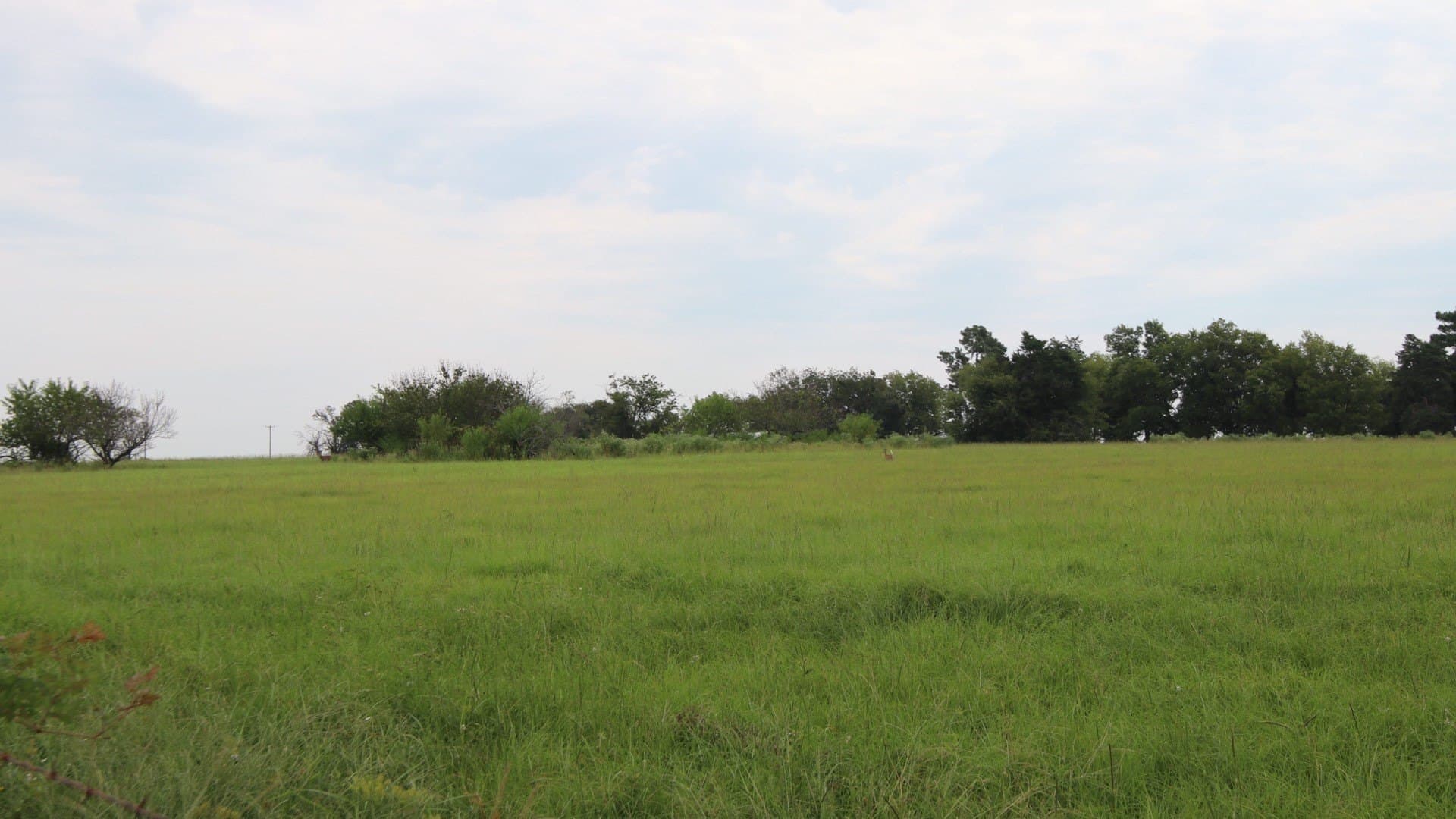 2.05 acres in Rains County - photo 4