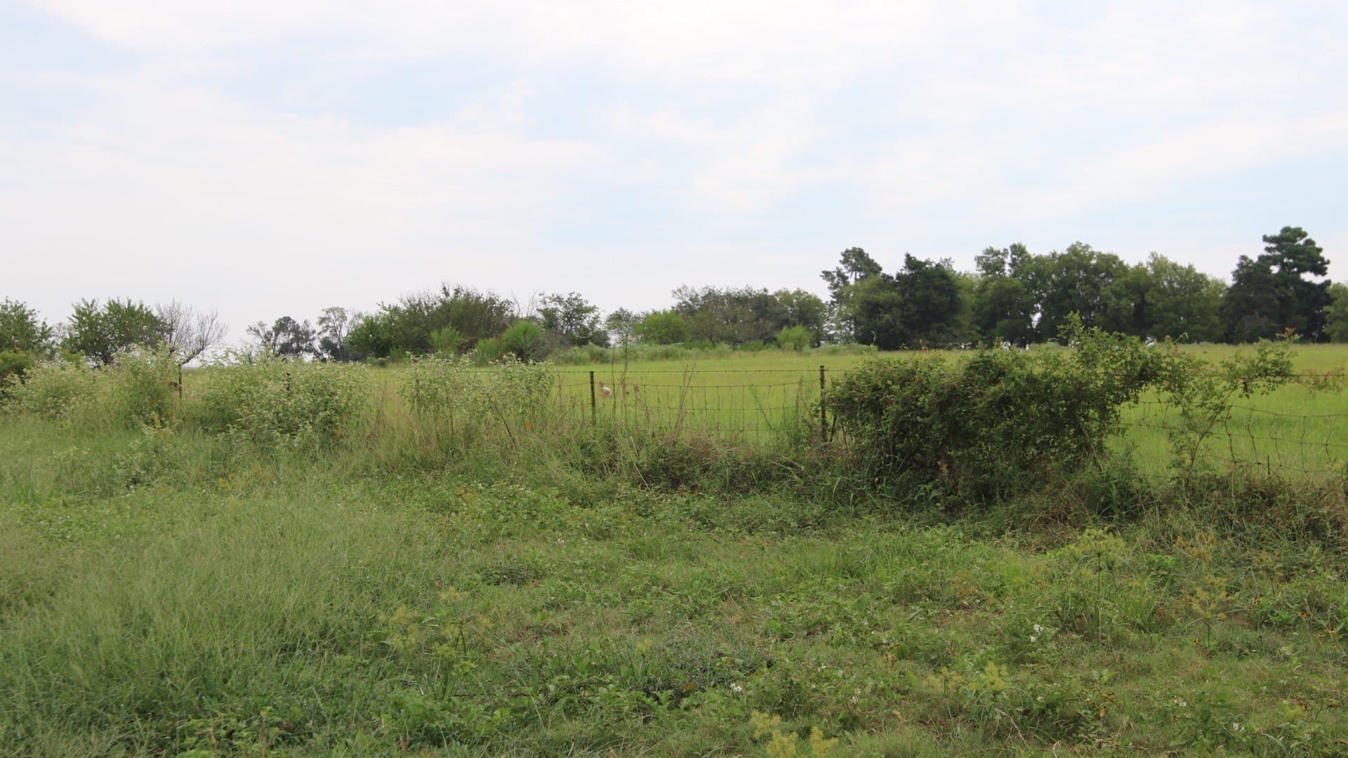 2.05 acres in Rains County - photo 2