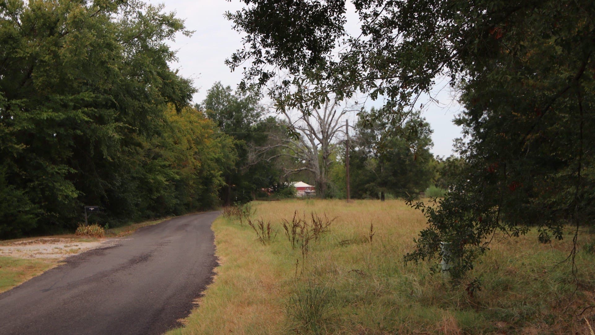 2.05 acres in Rains County - photo 6