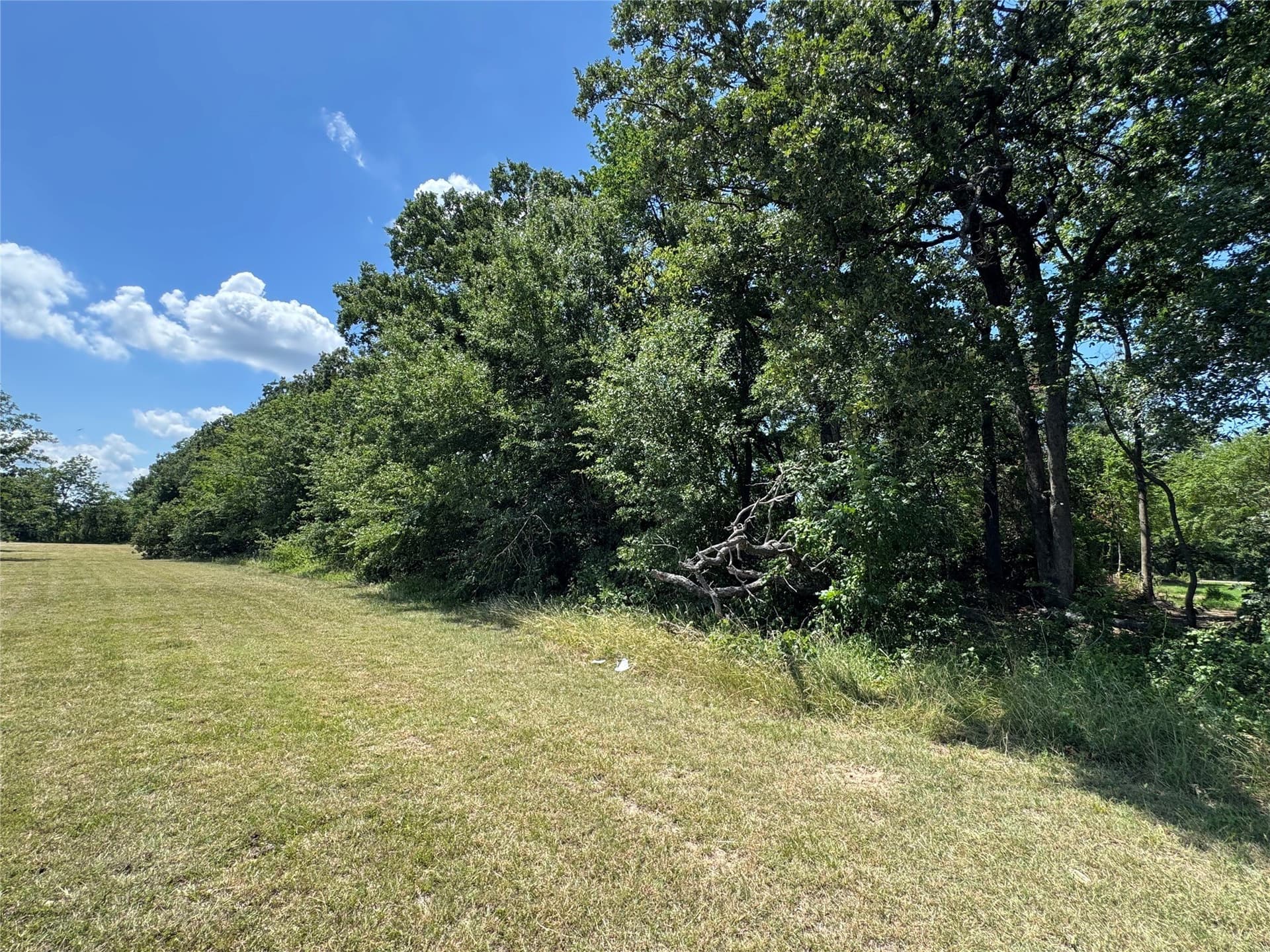 0.3 acres in Henderson County - photo 17