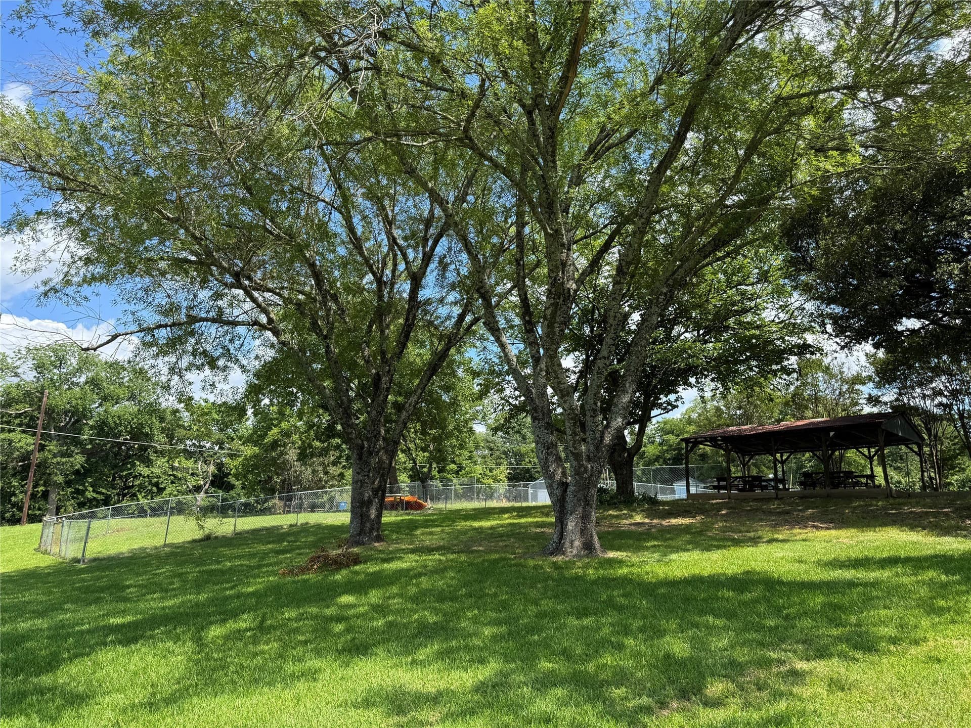 0.3 acres in Henderson County - photo 19