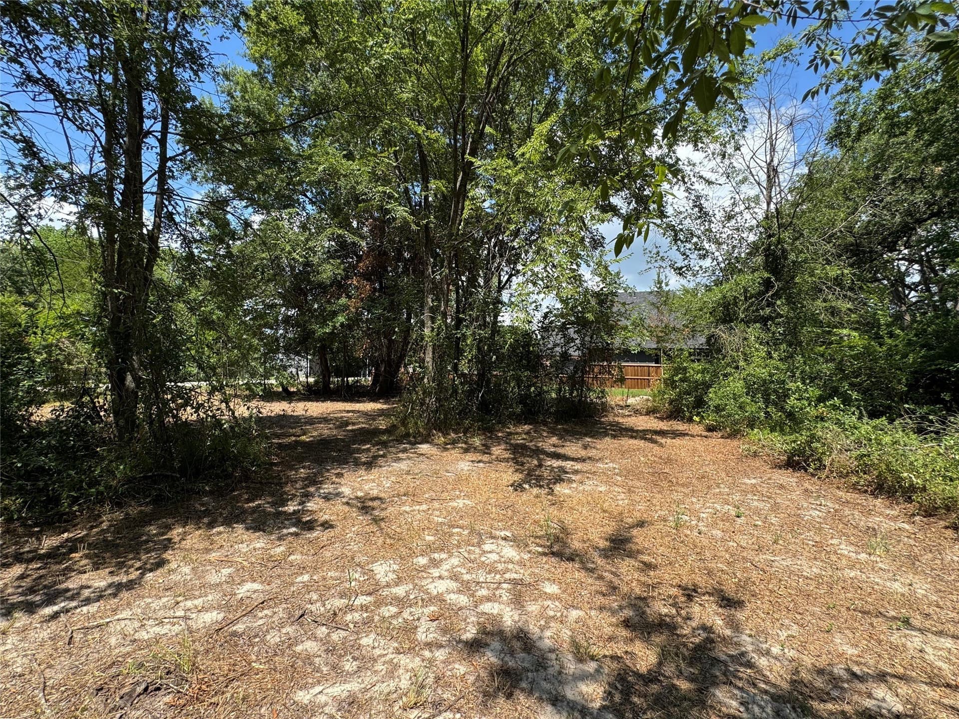 0.3 acres in Henderson County - photo 18