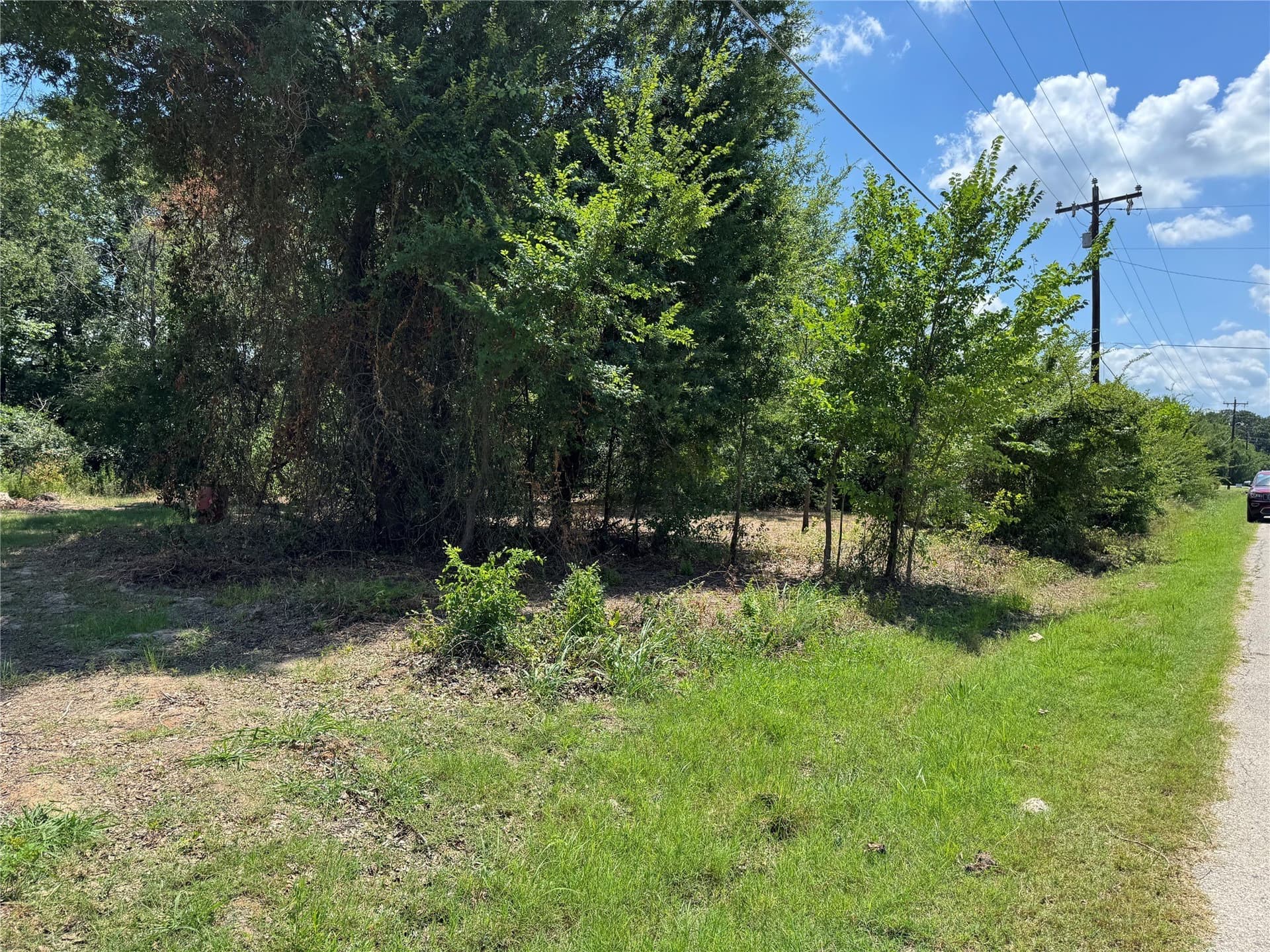 0.3 acres in Henderson County - photo 7
