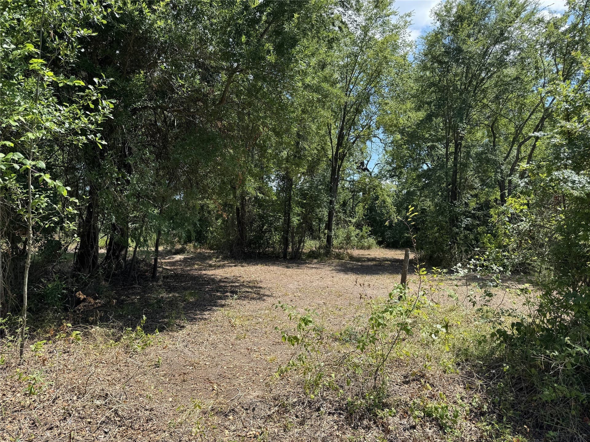 0.3 acres in Henderson County featured view