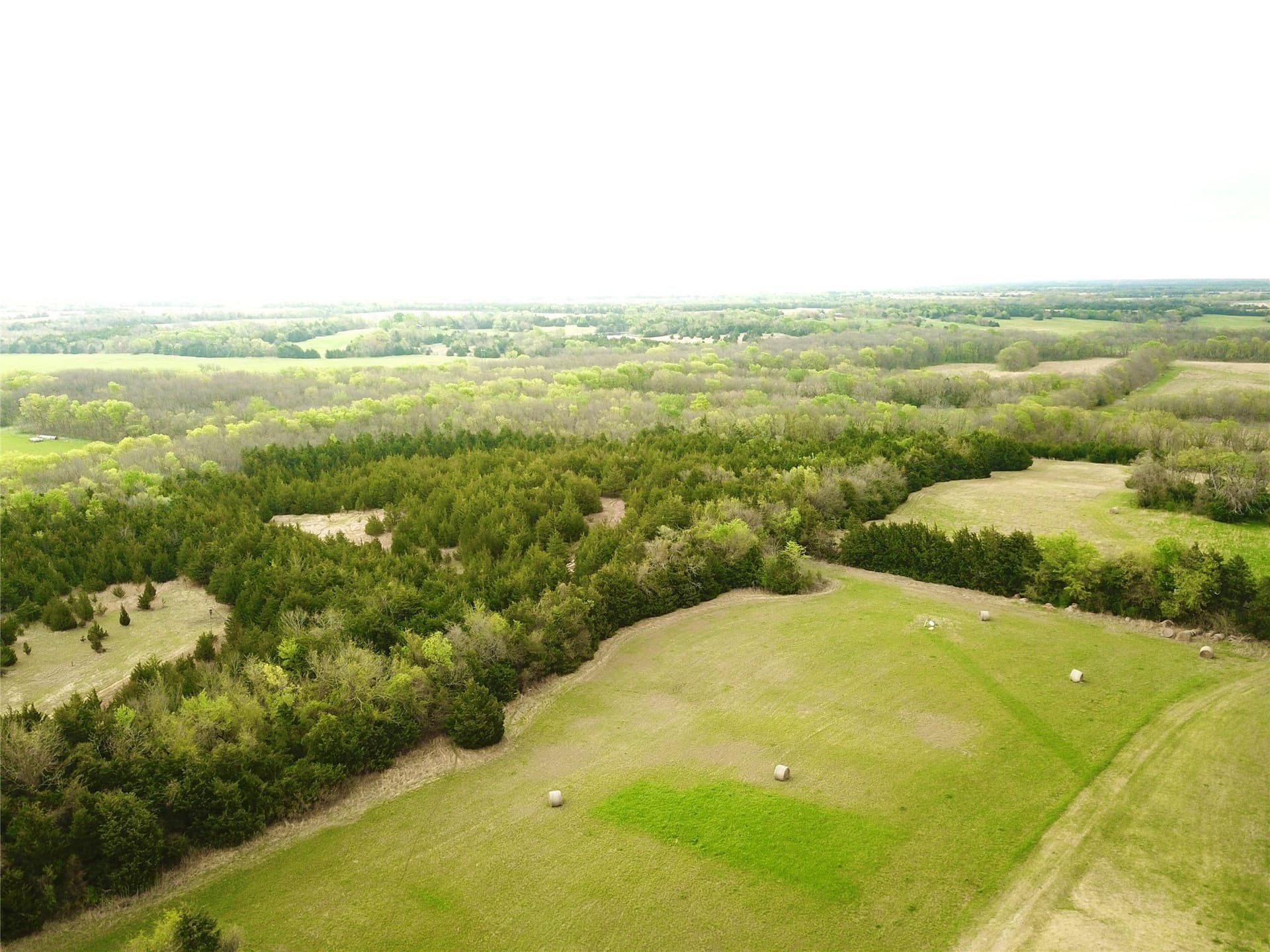279 acres in Fannin County - photo 7