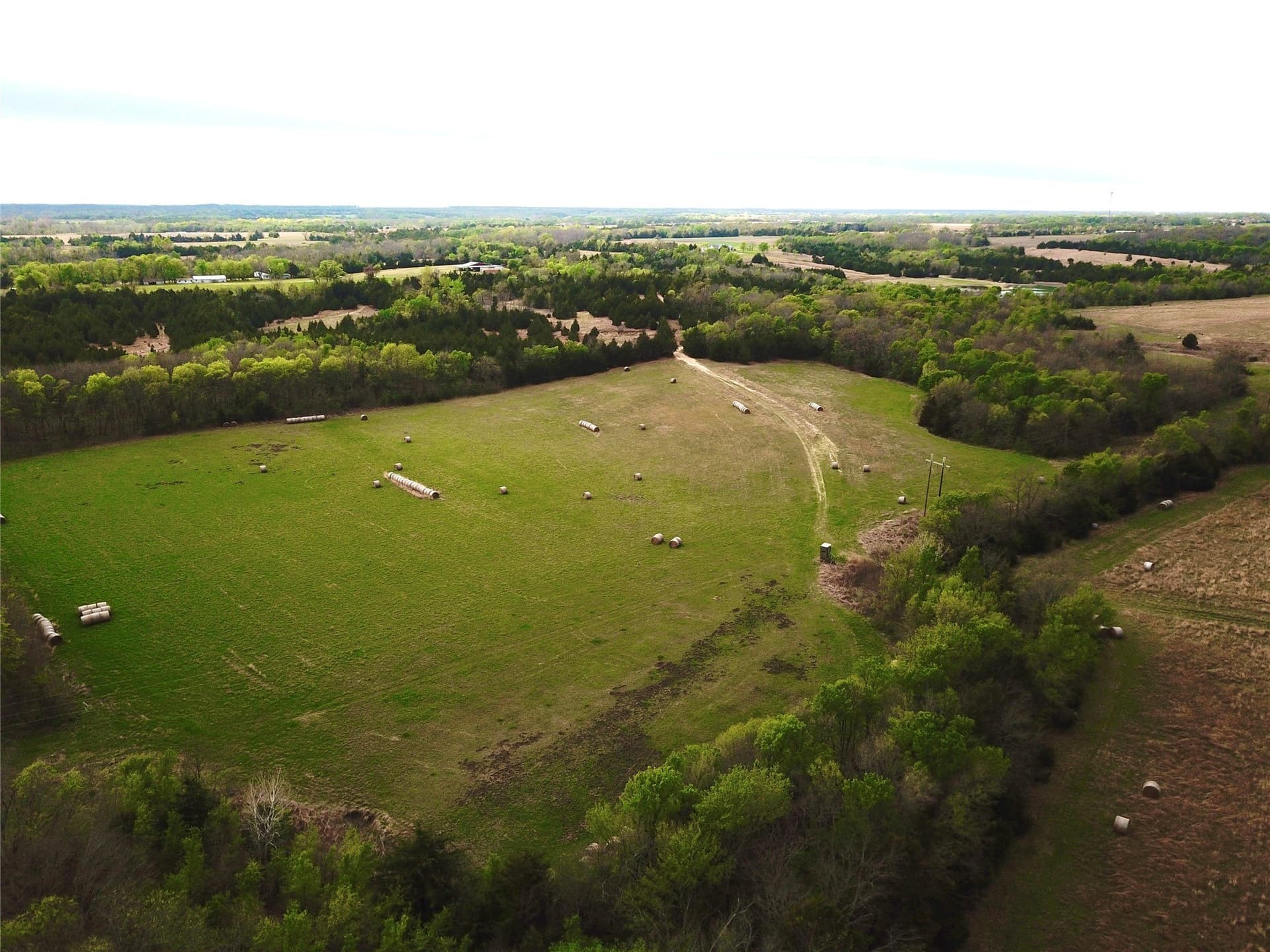 279 acres in Fannin County - photo 6