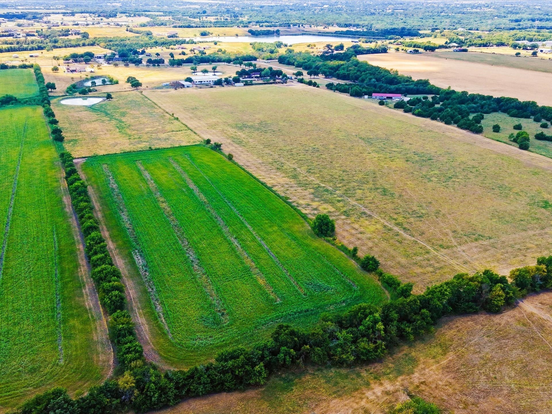 20 acres in Collin County - photo 37