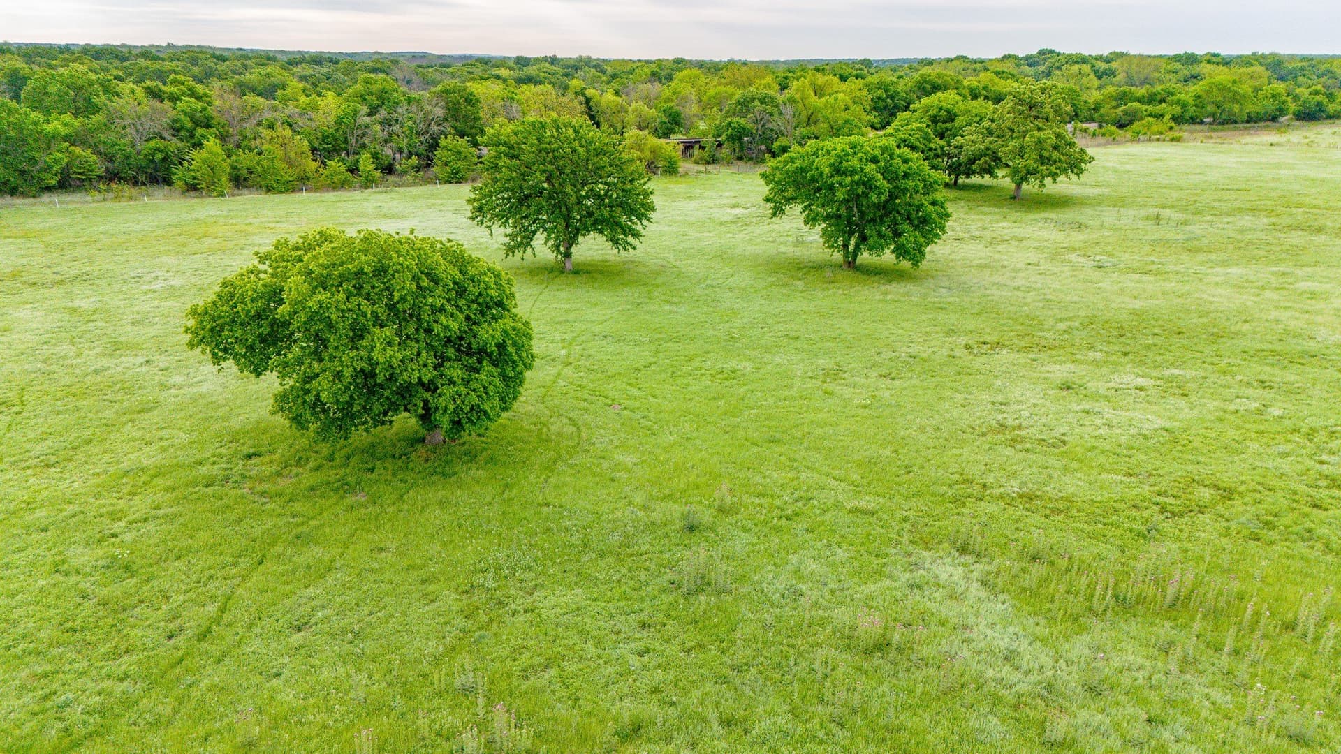 64.2 acres in Montague County - photo 36