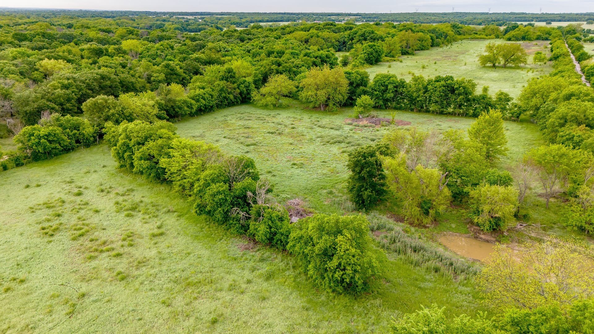 64.2 acres in Montague County - photo 9