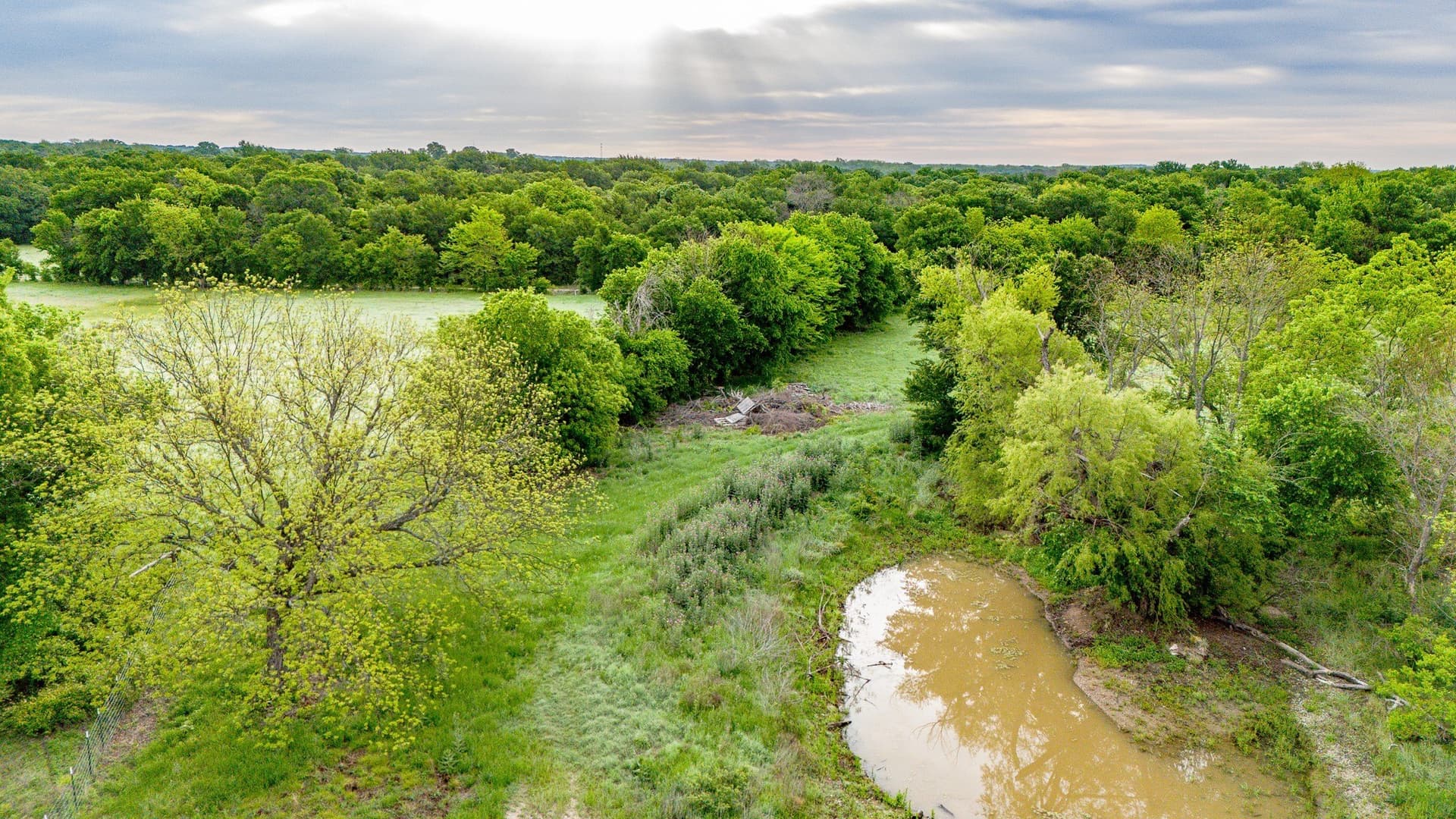 64.2 acres in Montague County - photo 12