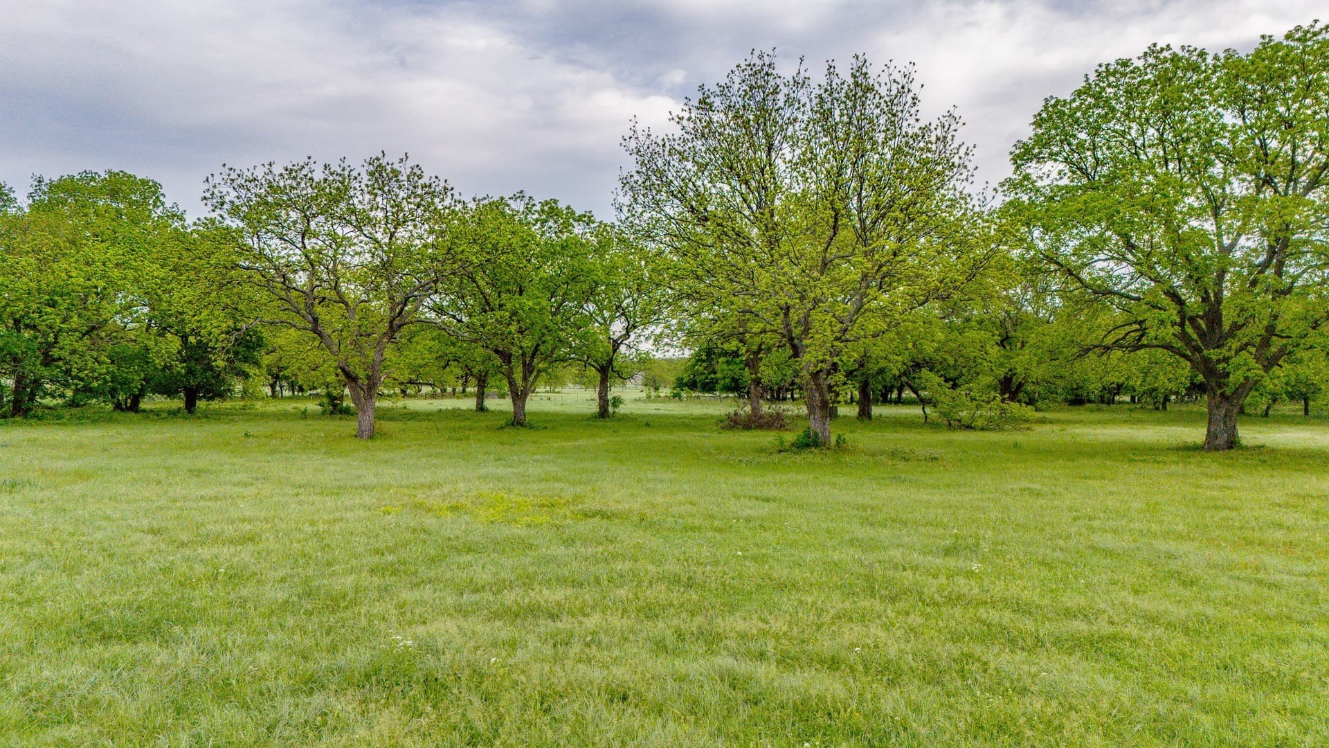 64.2 acres in Montague County - photo 7