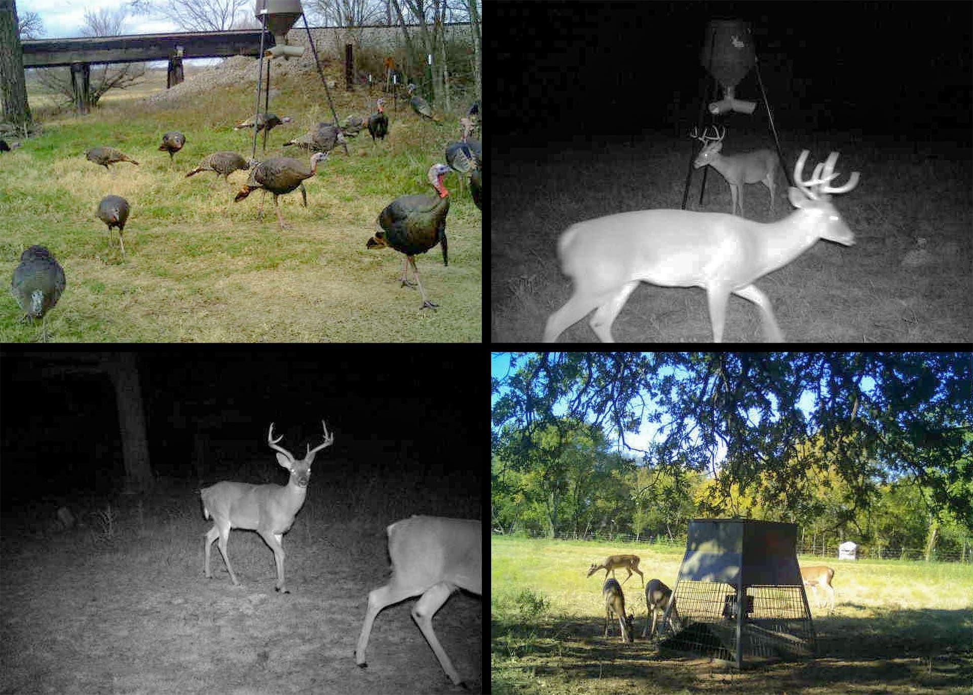 64.2 acres in Montague County - photo 38