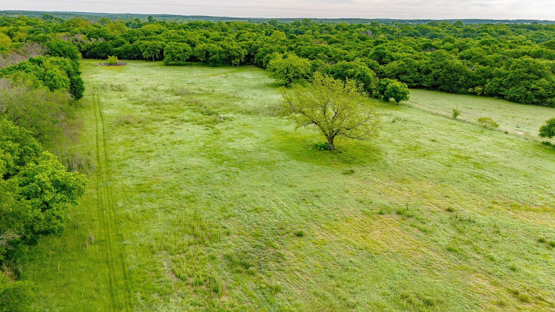 64.2 acres in Montague County - photo 8