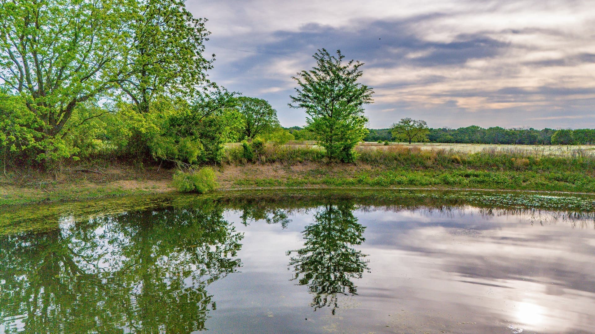 64.2 acres in Montague County - photo 6