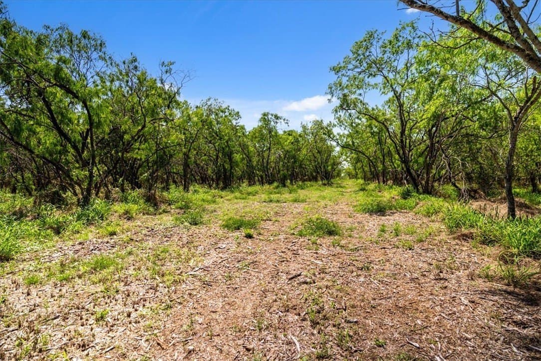 11.96 acres in Live Oak County gallery image 3