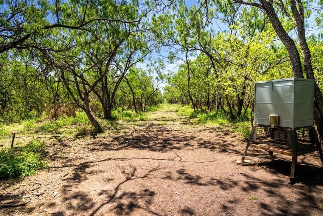 11.96 acres in Live Oak County