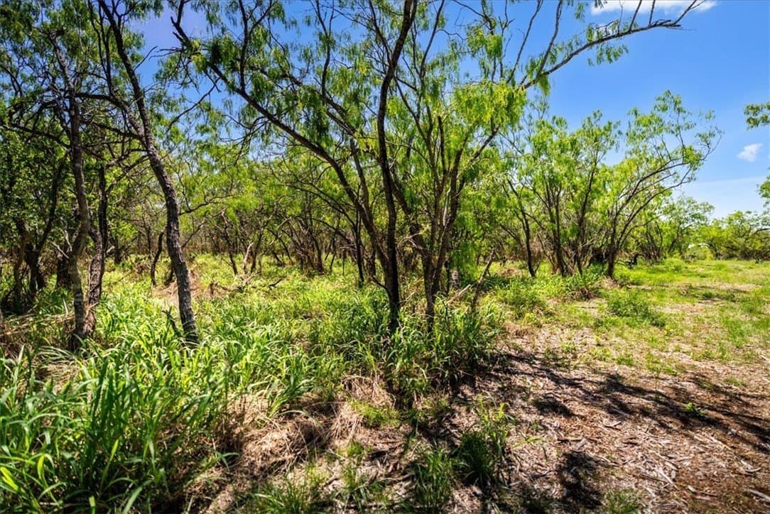 11.96 acres in Live Oak County featured view