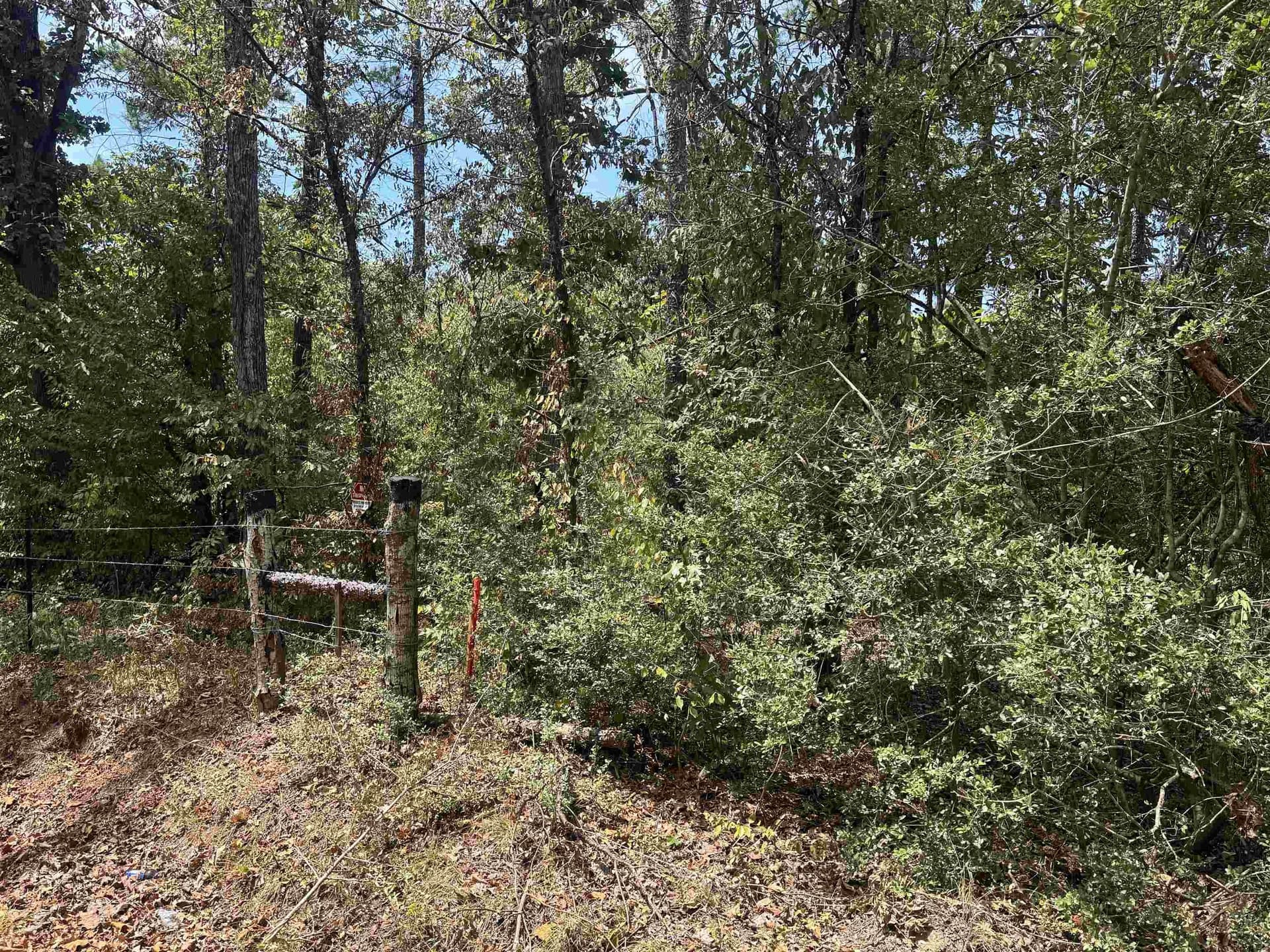11.01 acres in Rusk County - photo 5