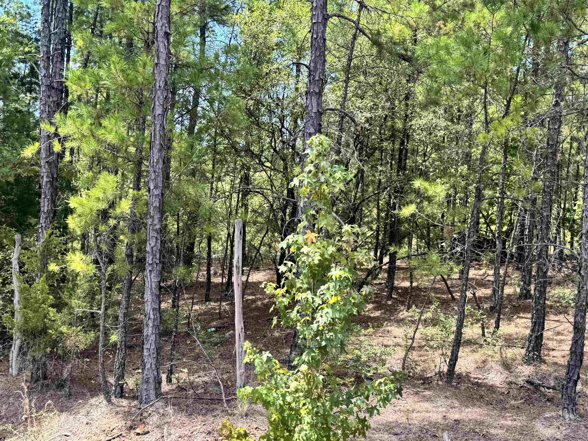 11.01 acres in Rusk County - photo 6