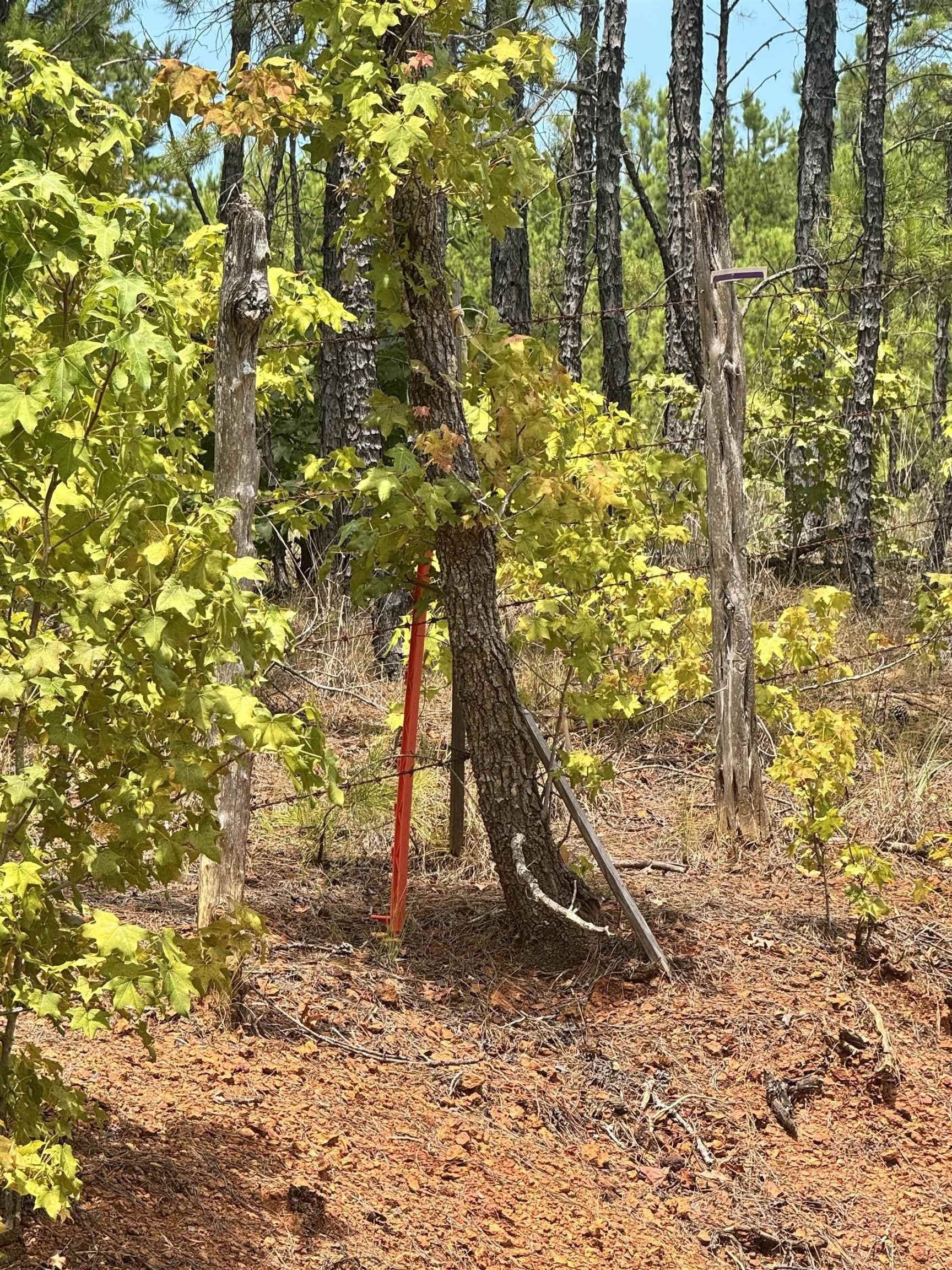 11.01 acres in Rusk County - photo 2