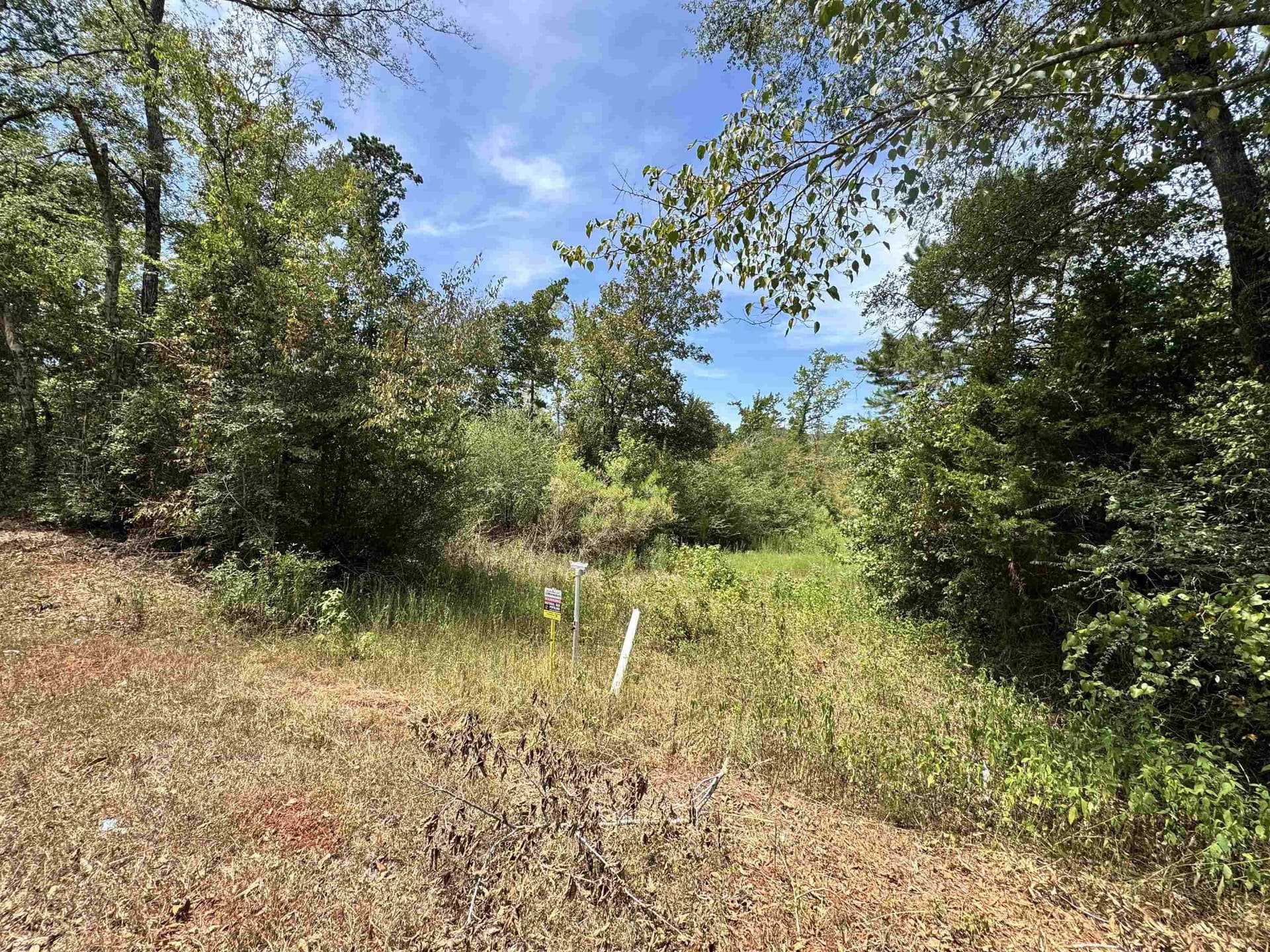 11.01 acres in Rusk County - photo 7