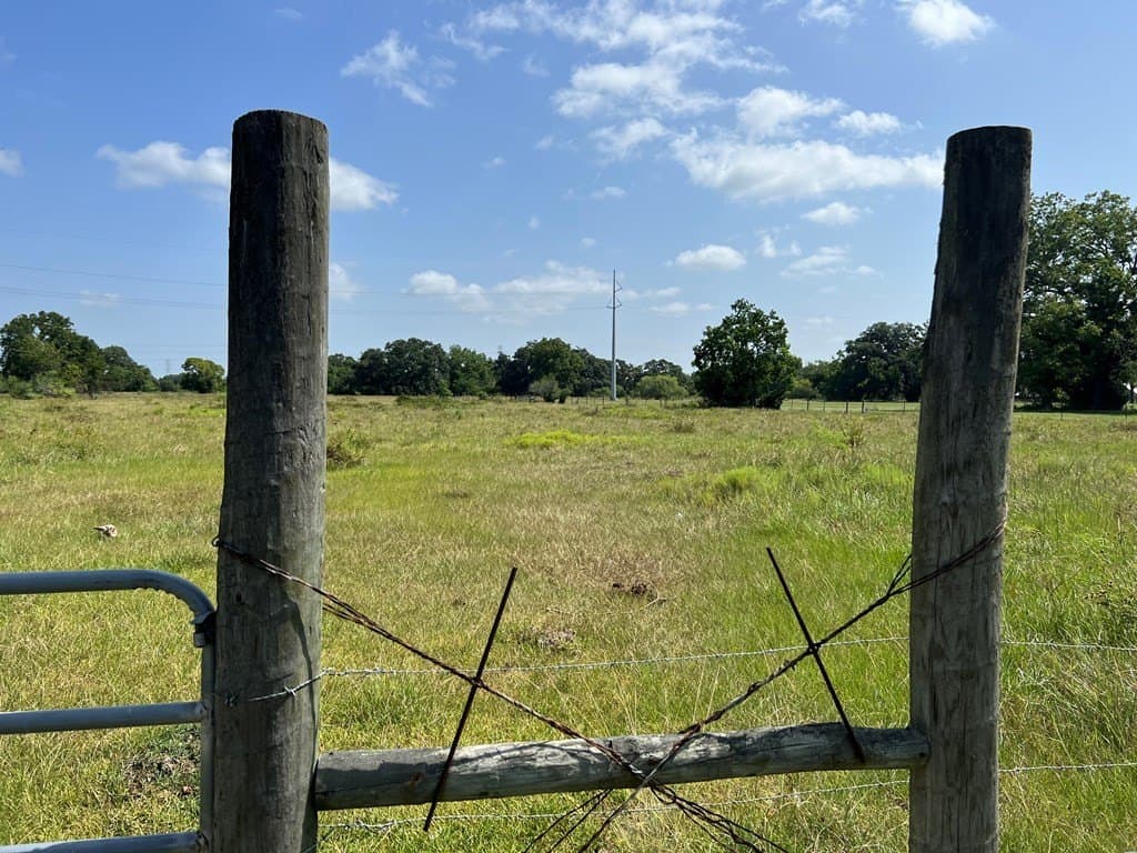 24 acres in West Columbia County gallery image 4