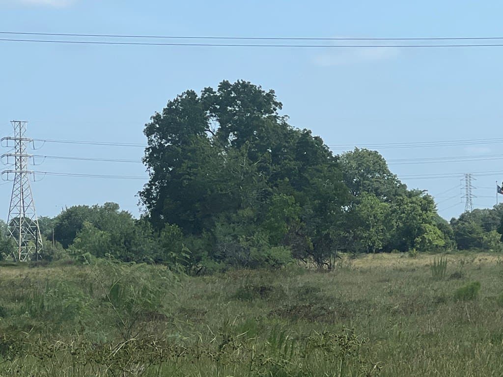 24 acres in West Columbia County gallery image 3