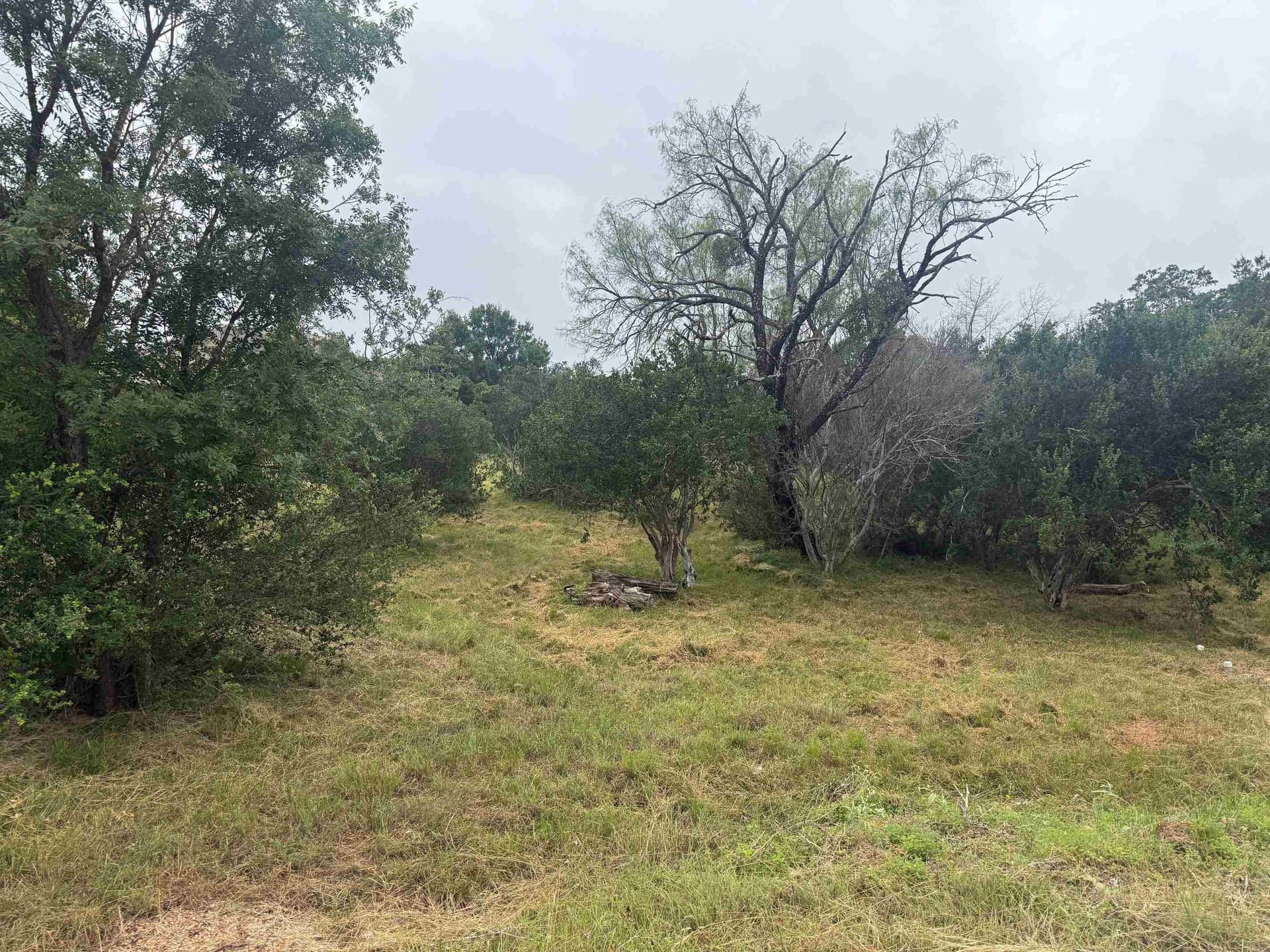 0.39 acres in Llano County gallery image 3
