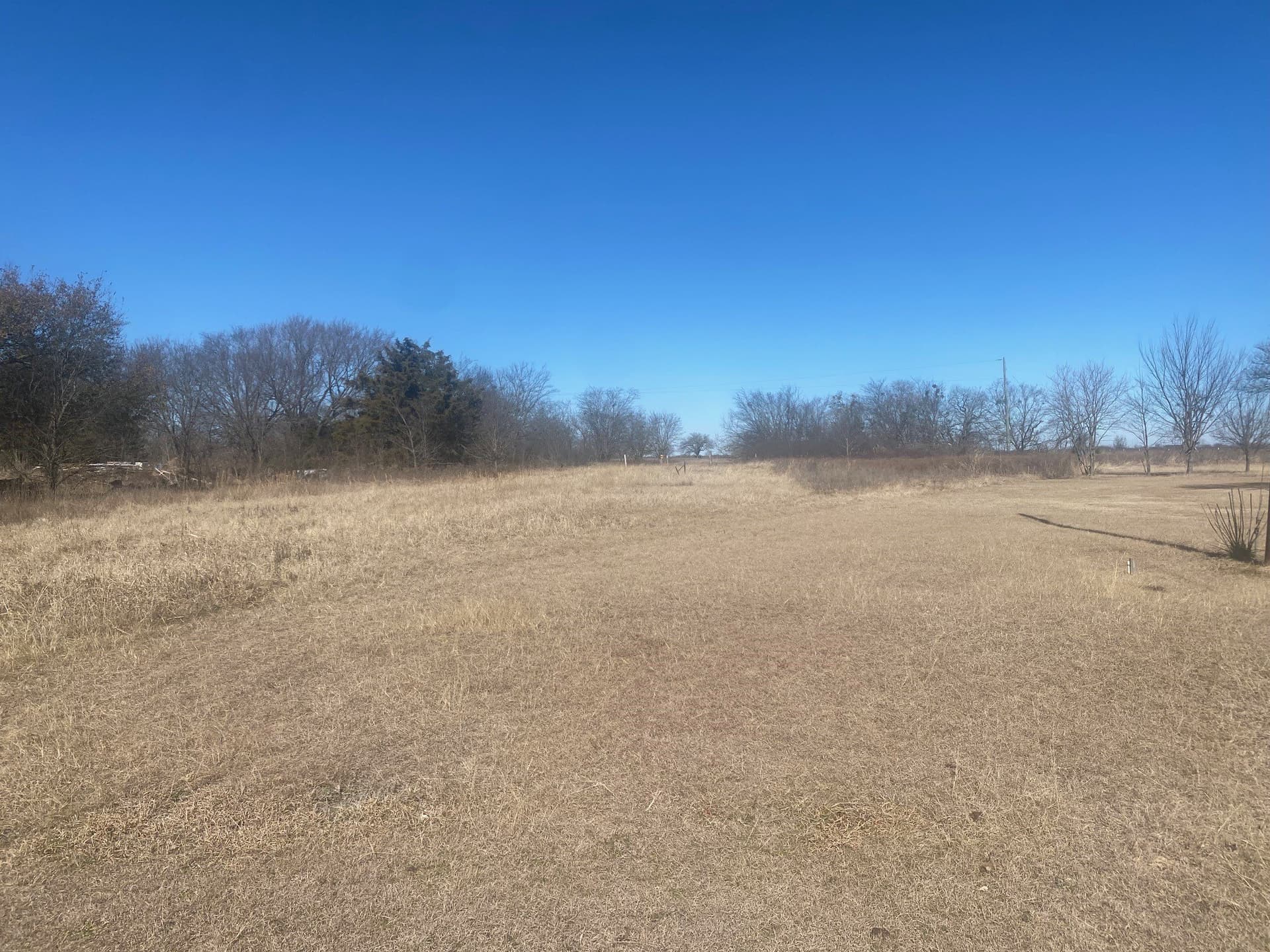 1.36 acres in Navarro County gallery image 2