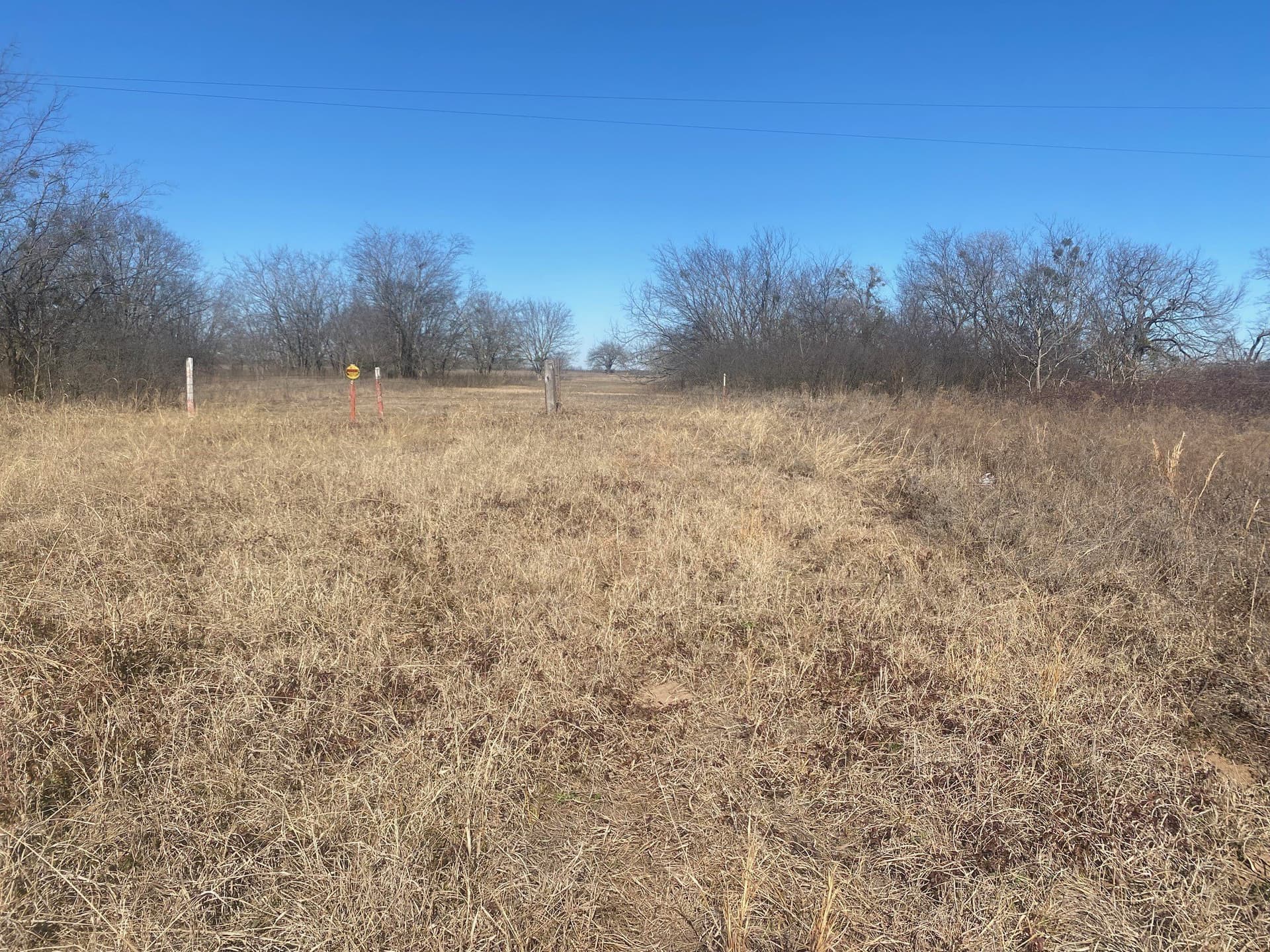 1.36 acres in Navarro County gallery image 3