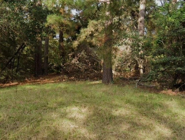 0.75 acres in Texas County featured view