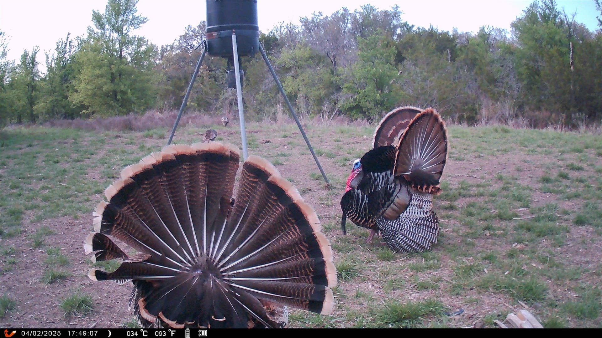 92.75 acres in Hamilton County - photo 33