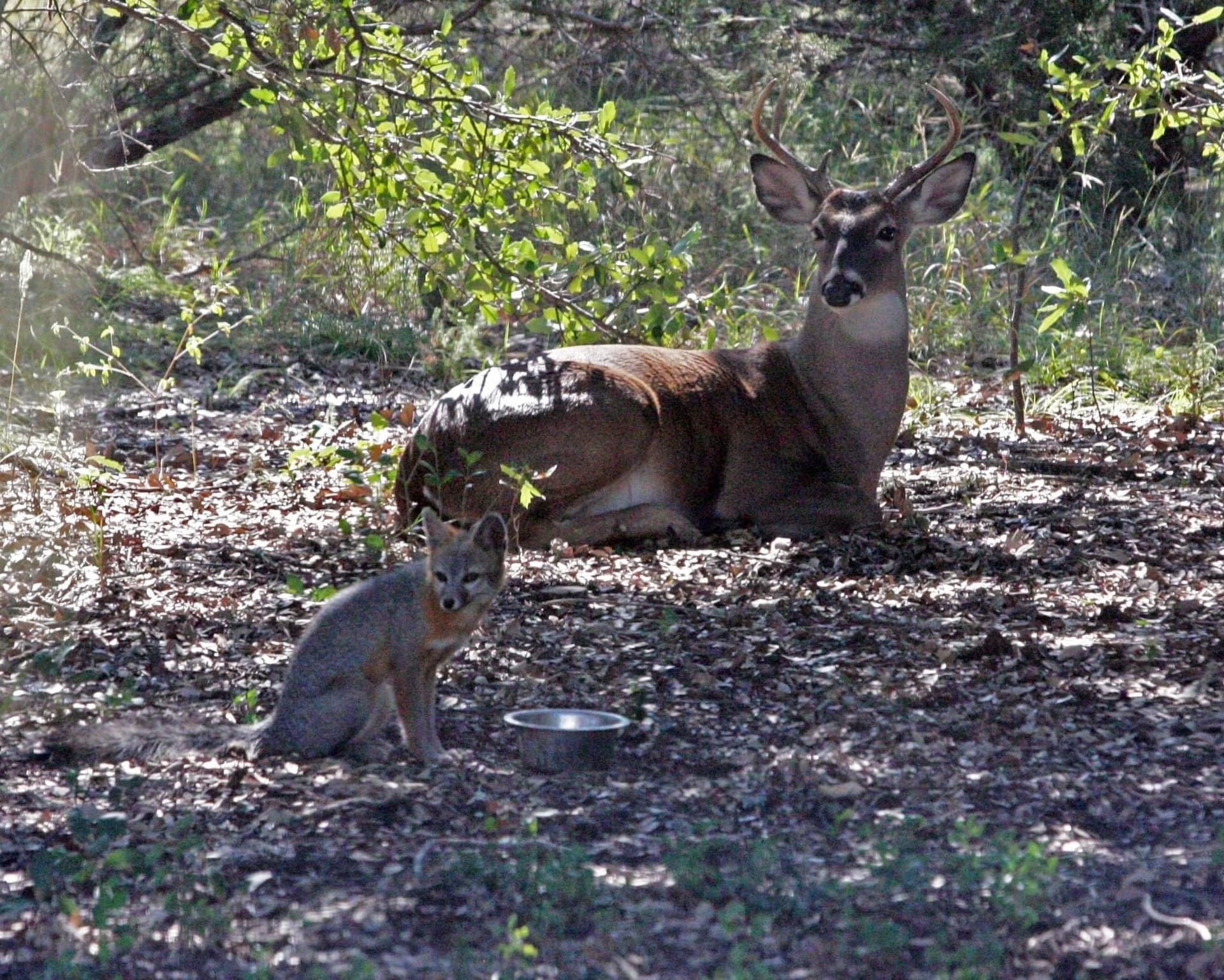 92.75 acres in Hamilton County - photo 32