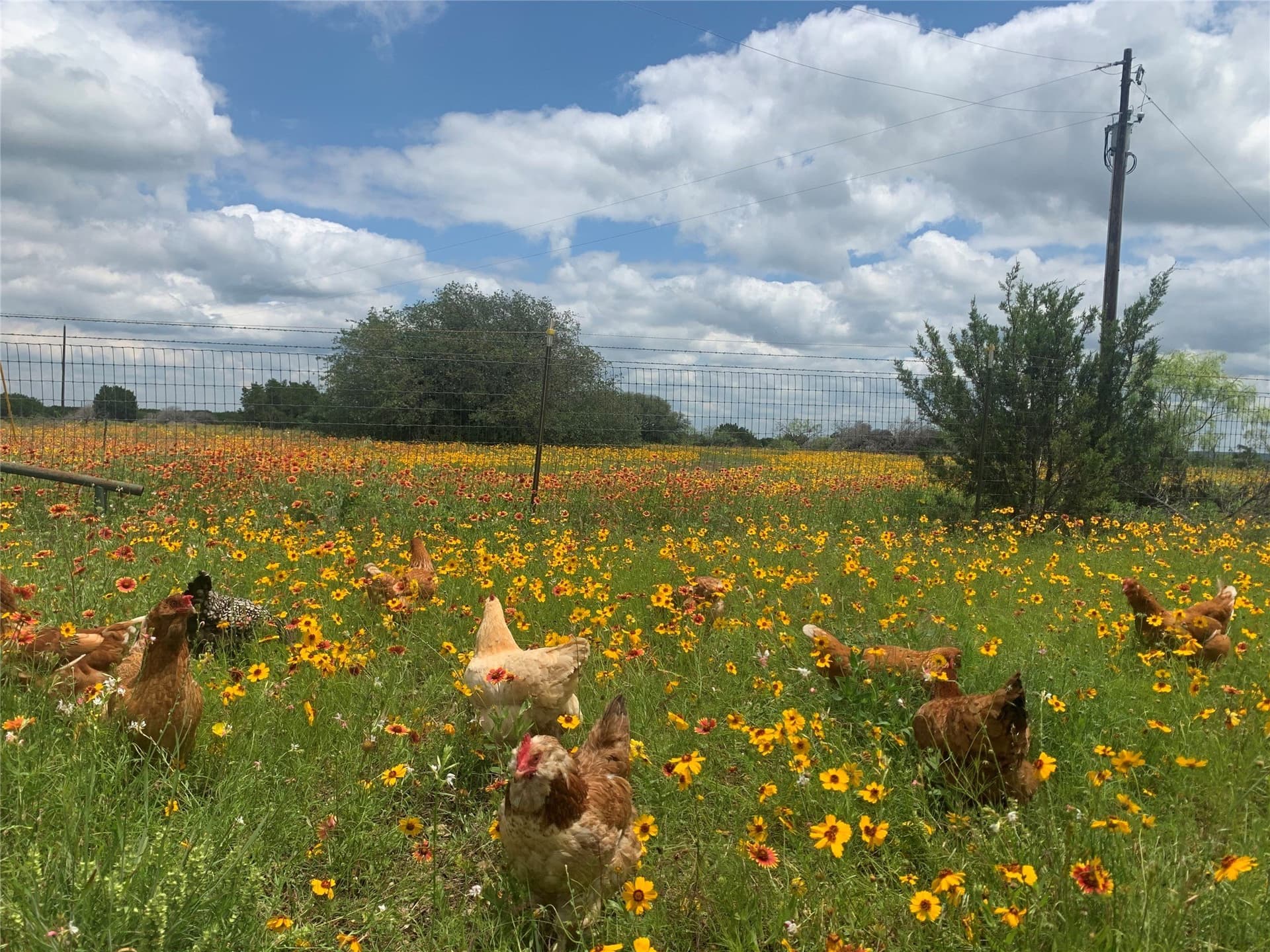 92.75 acres in Hamilton County - photo 35