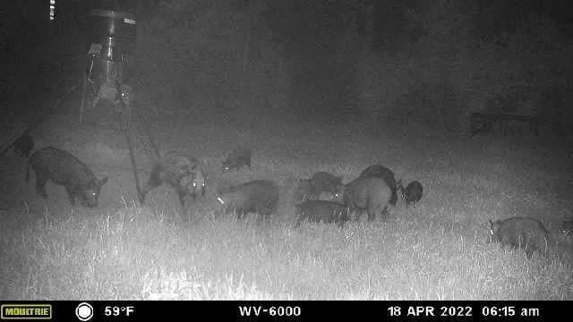 10.43 acres in Madison (TX) County gallery image 4