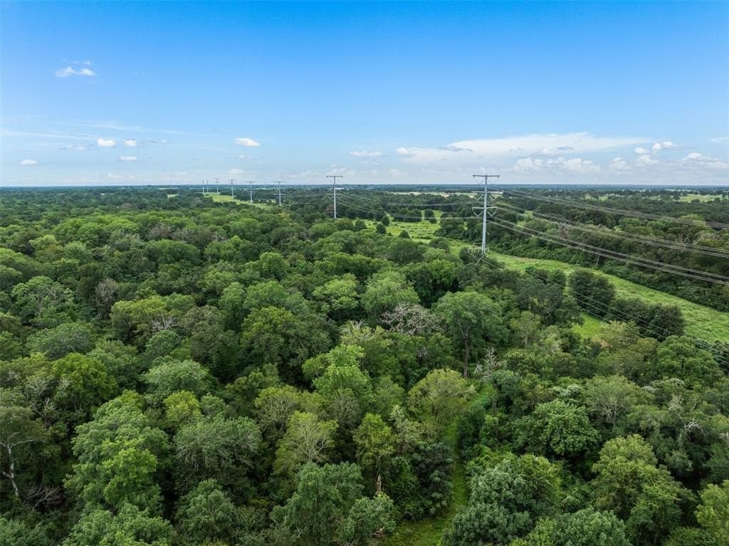 10.43 acres in Madison (TX) County featured view