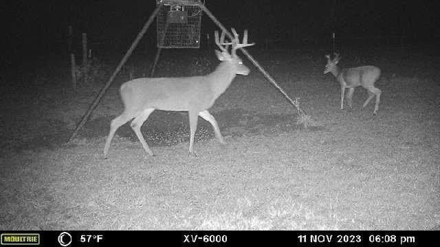 10.43 acres in Madison (TX) County gallery image 2