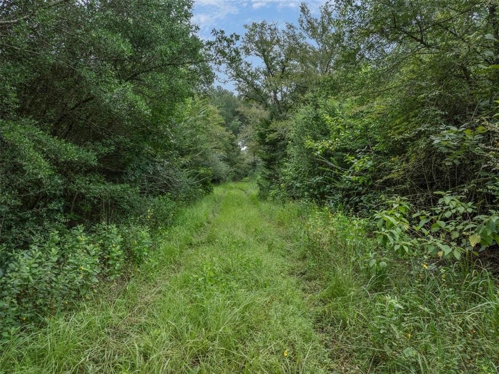 10.43 acres in Madison (TX) County