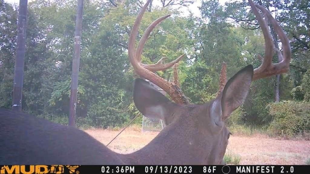 10.43 acres in Madison (TX) County gallery image 3