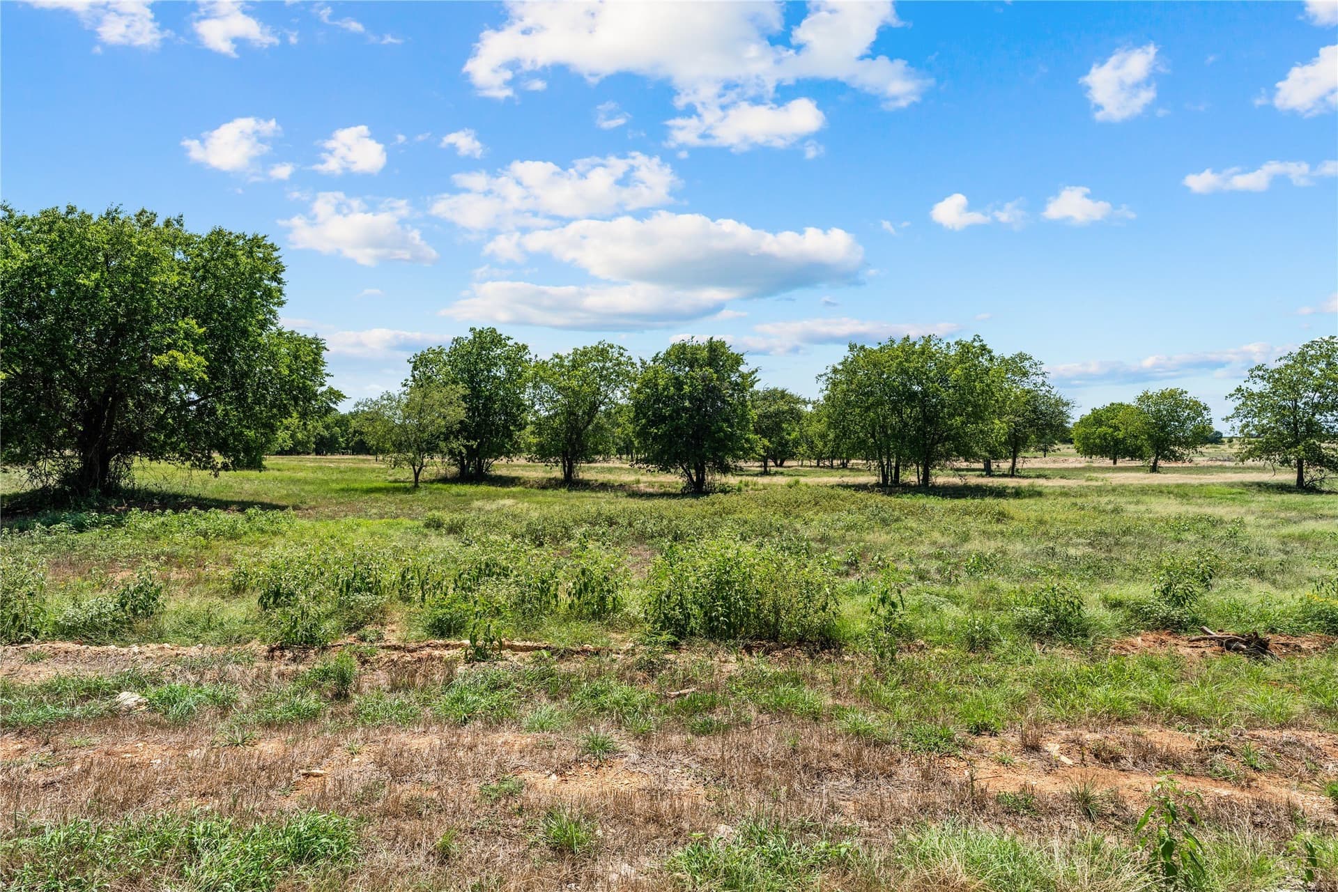 3.1 acres in Hill County - photo 2