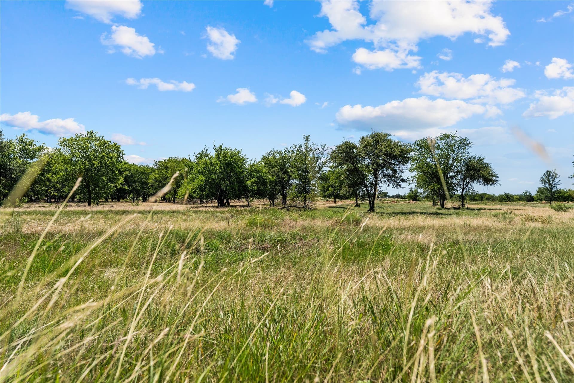 3.1 acres in Hill County - photo 3
