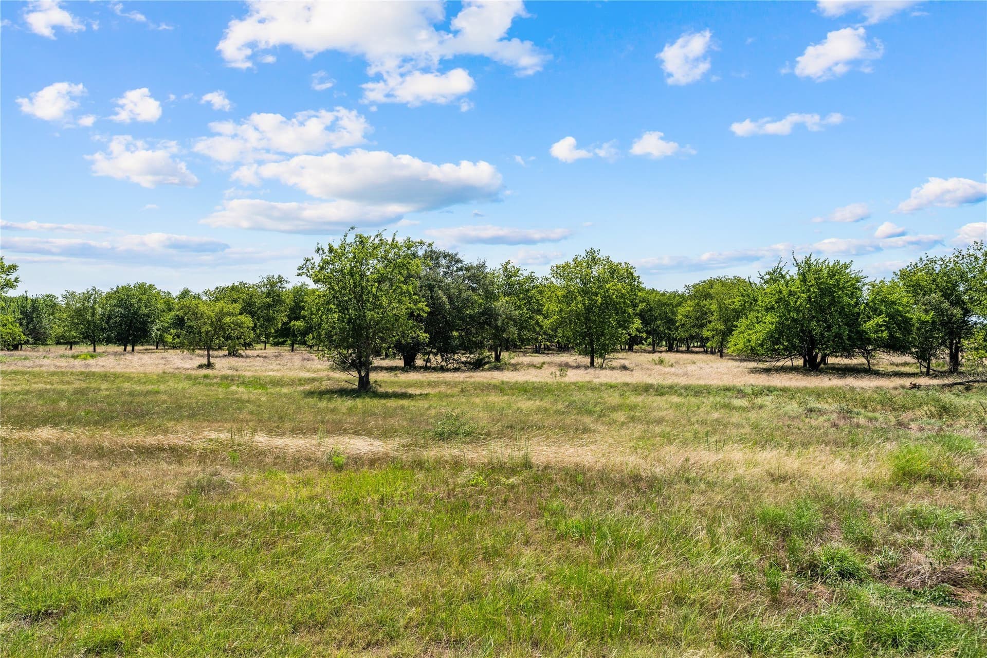 3.1 acres in Hill County - photo 4