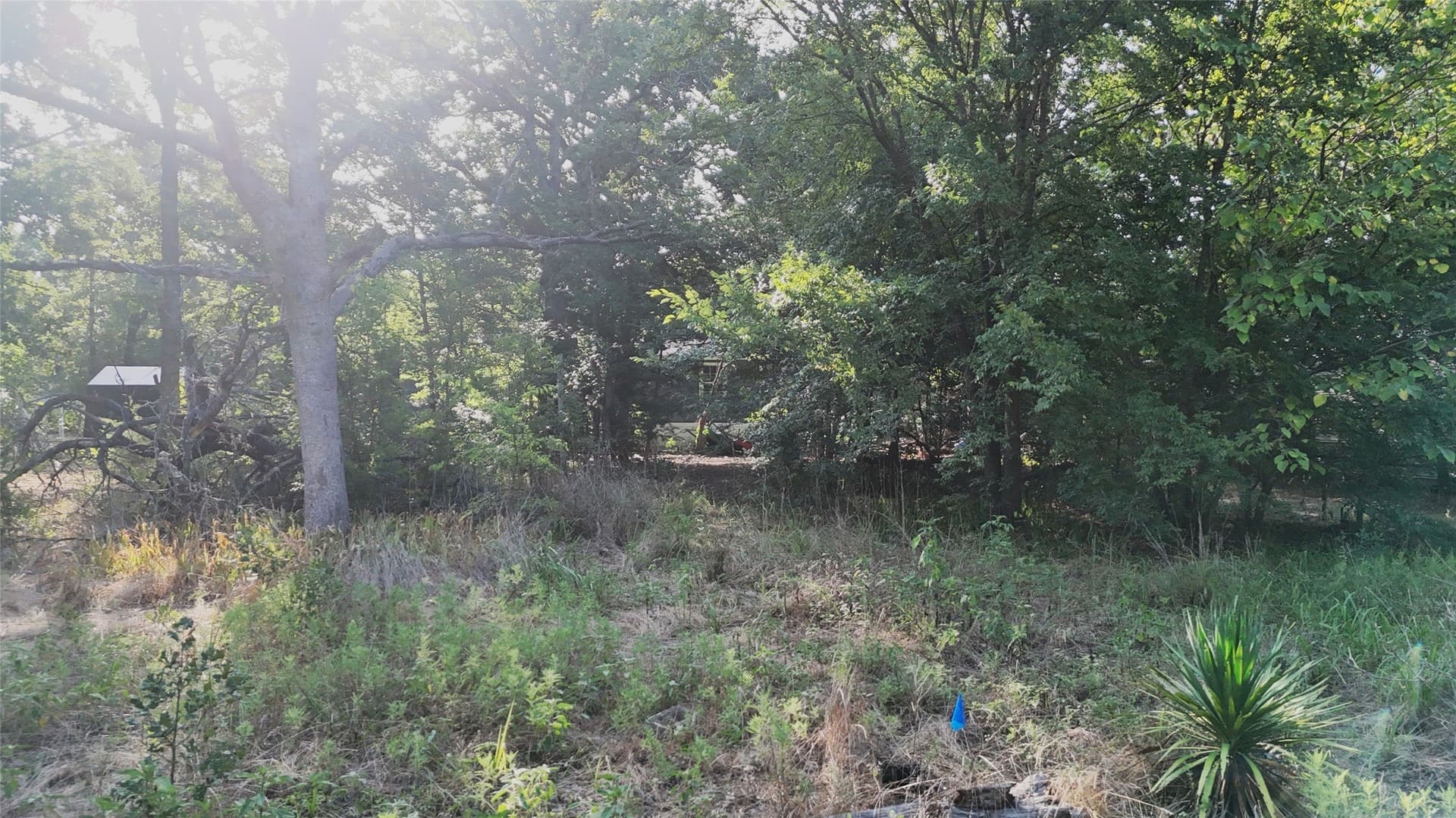 0.4 acres in Hunt County gallery image 2