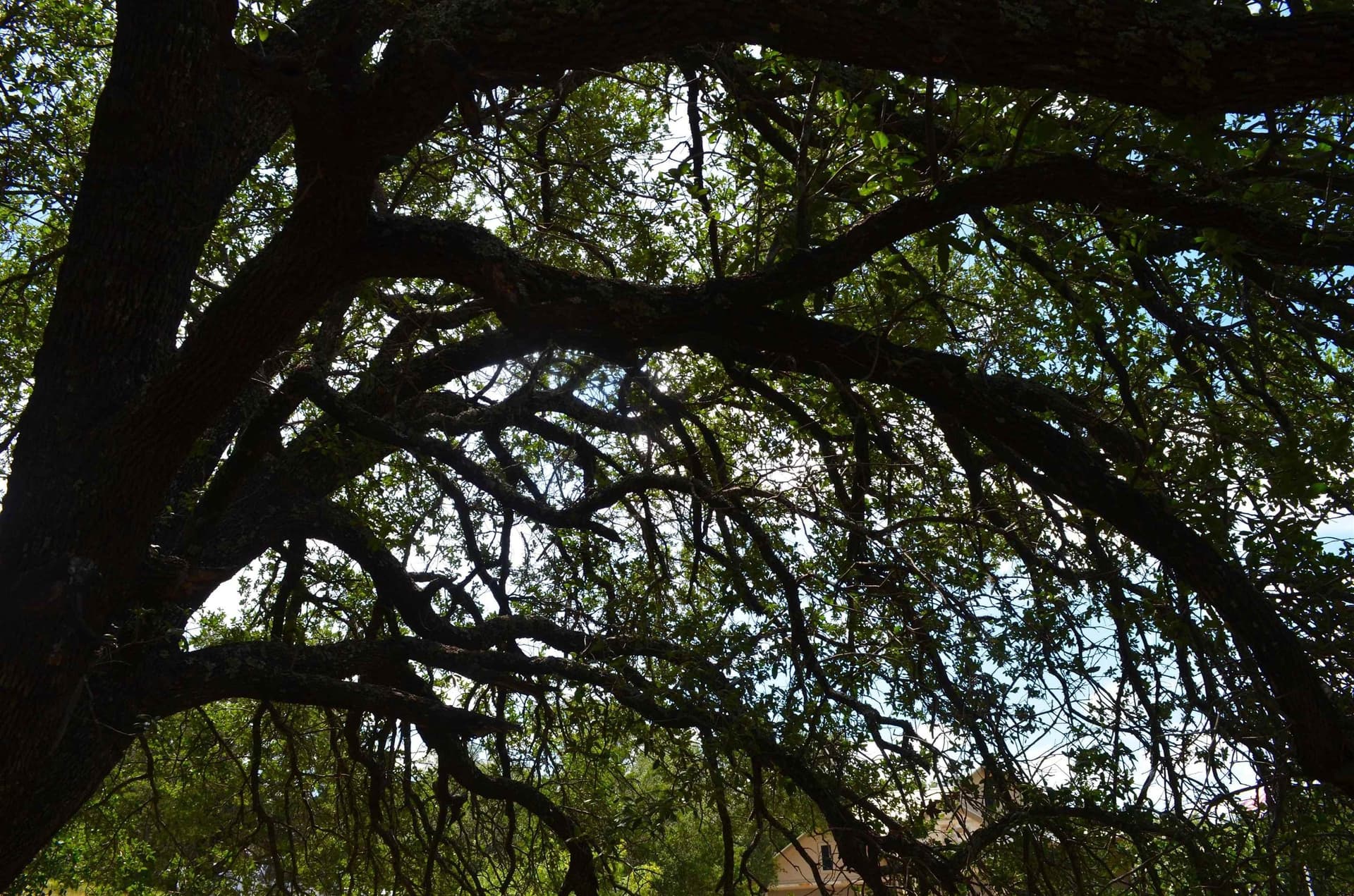 0.23 acres in Llano County - photo 10