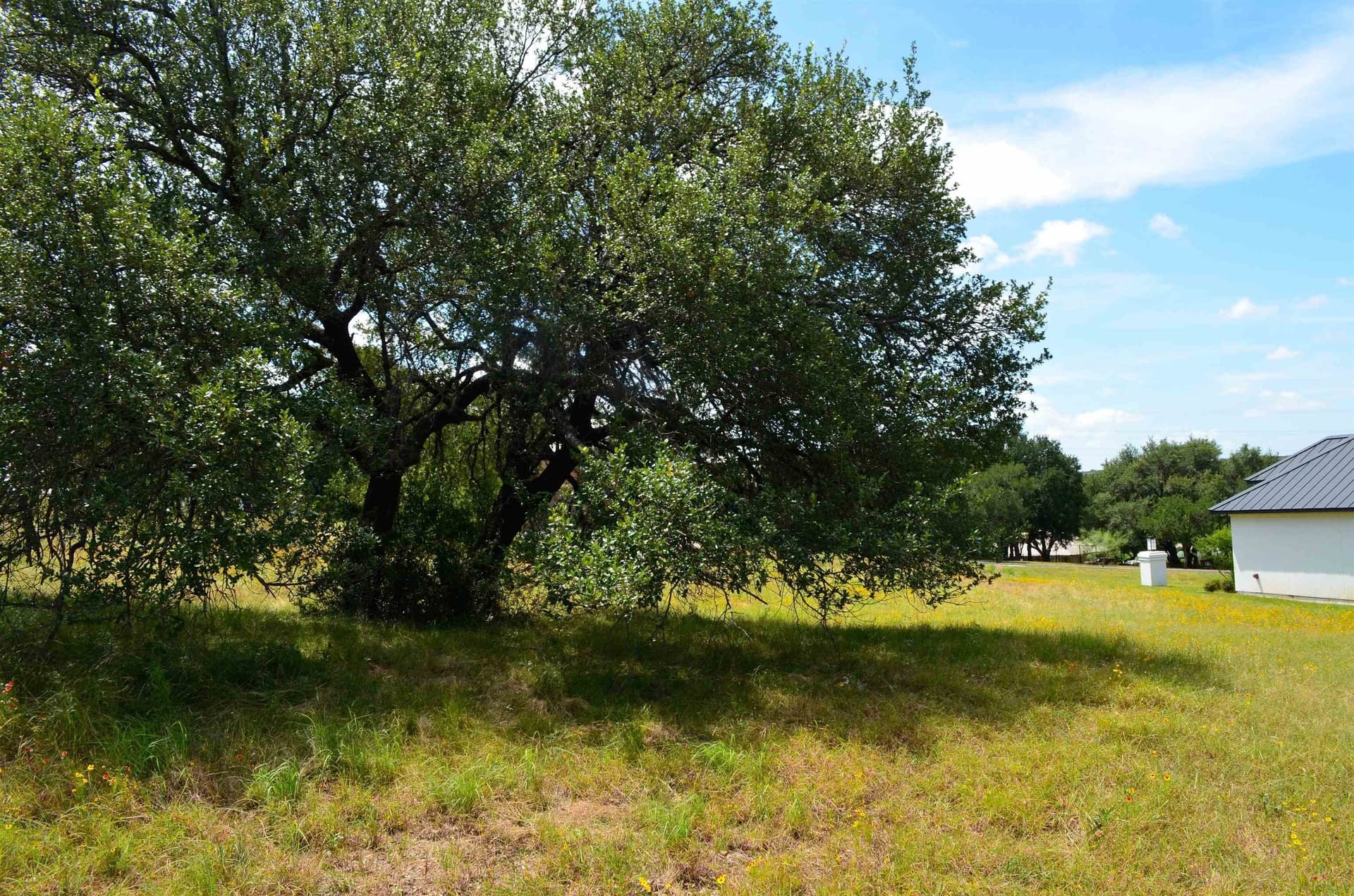 0.23 acres in Llano County - photo 8